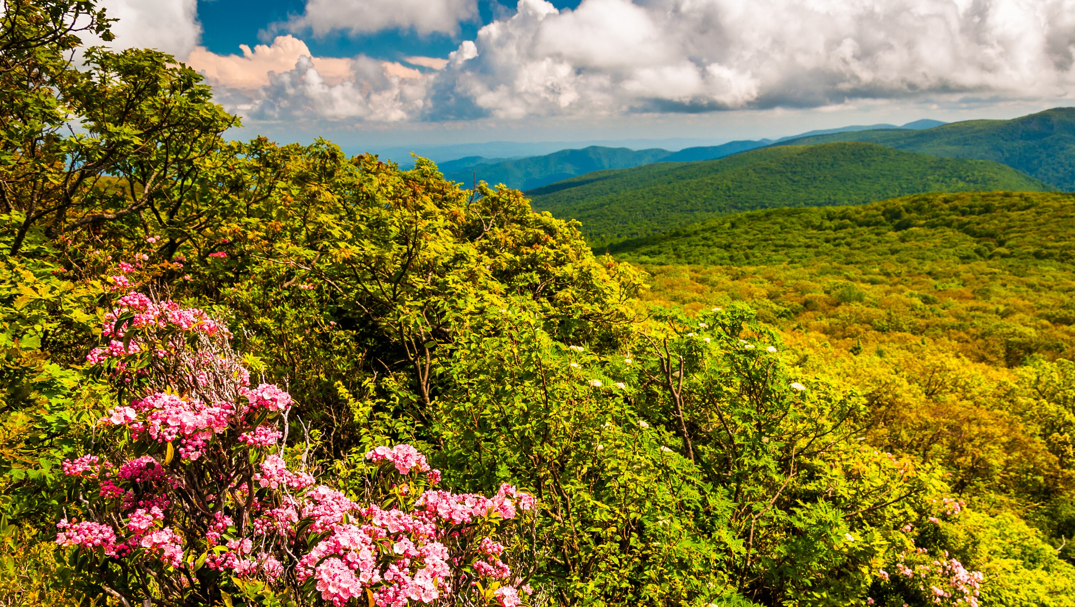 Skyline Drive Road Trip