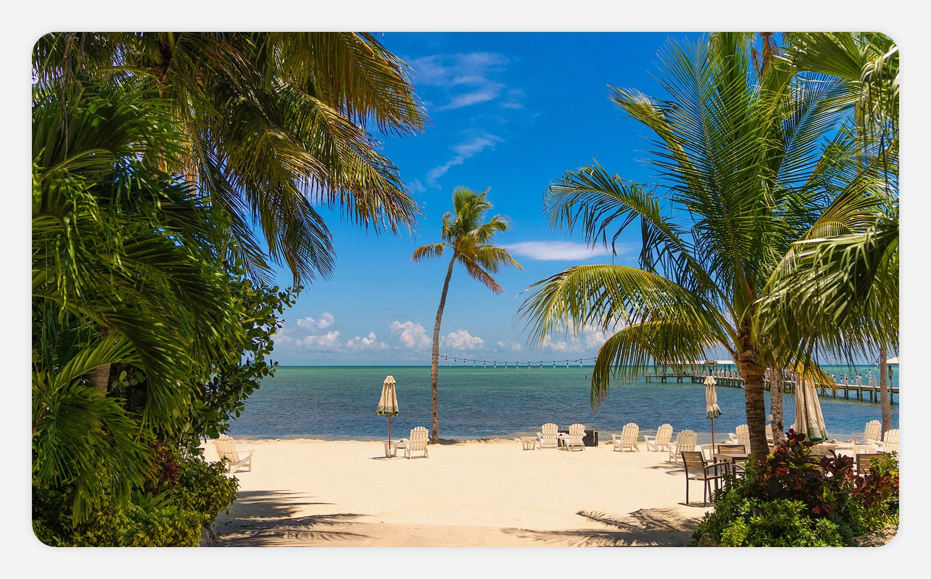 Florida beach with palm trees swaying in the wind