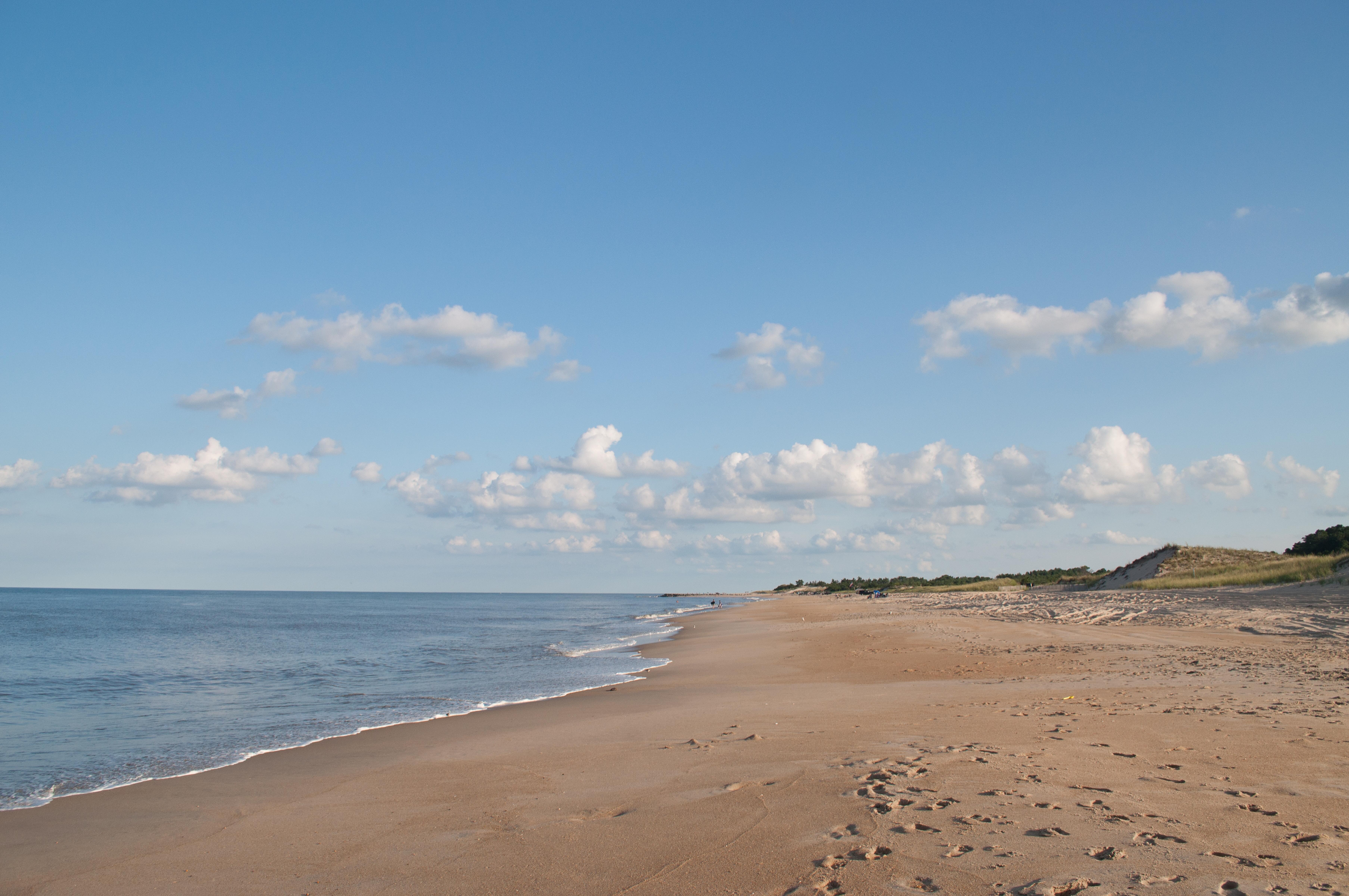 Image of Cape Henlopen Lewes Delaware Beach.