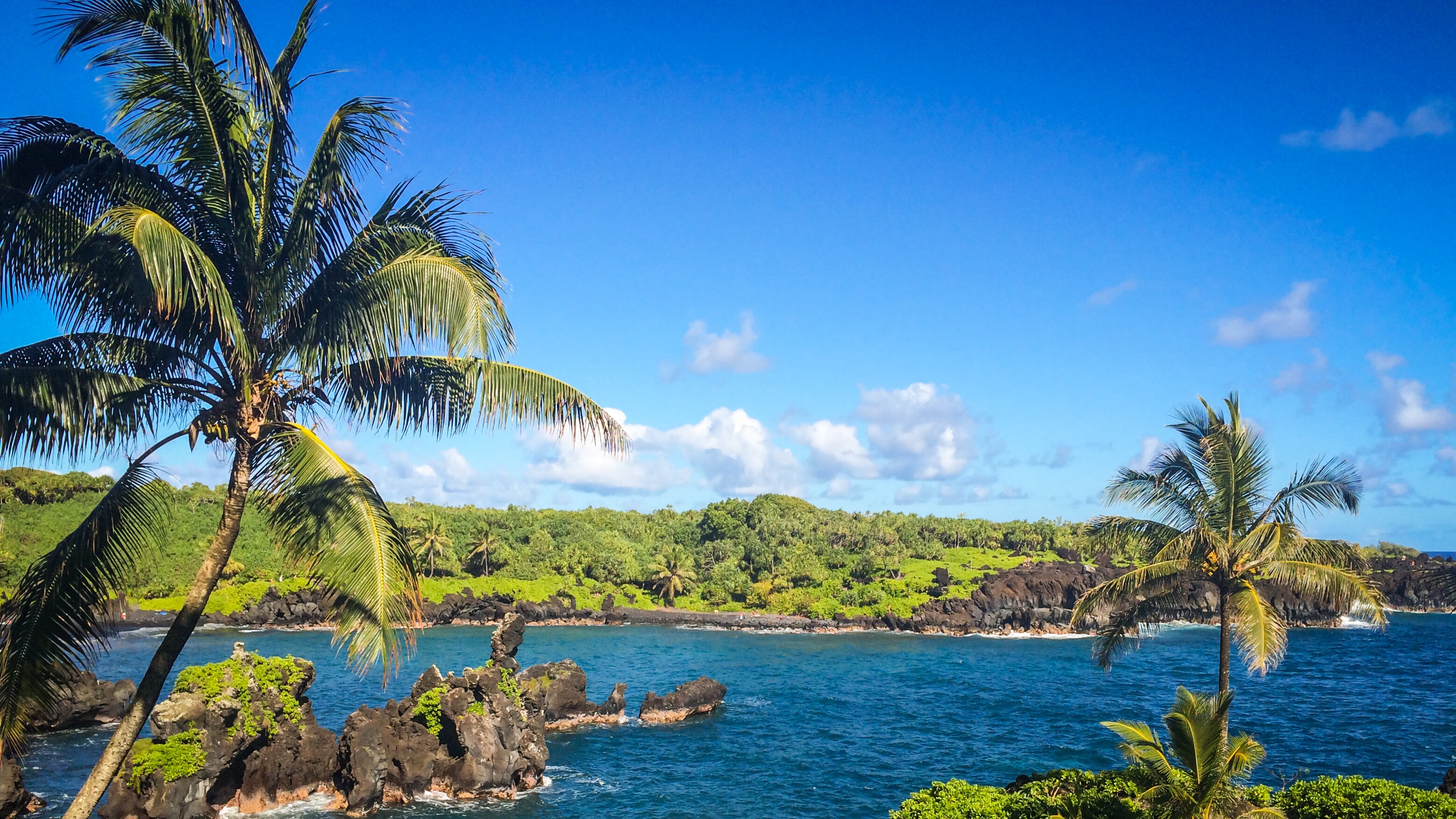 The Hana Scenic Highway Road Trip