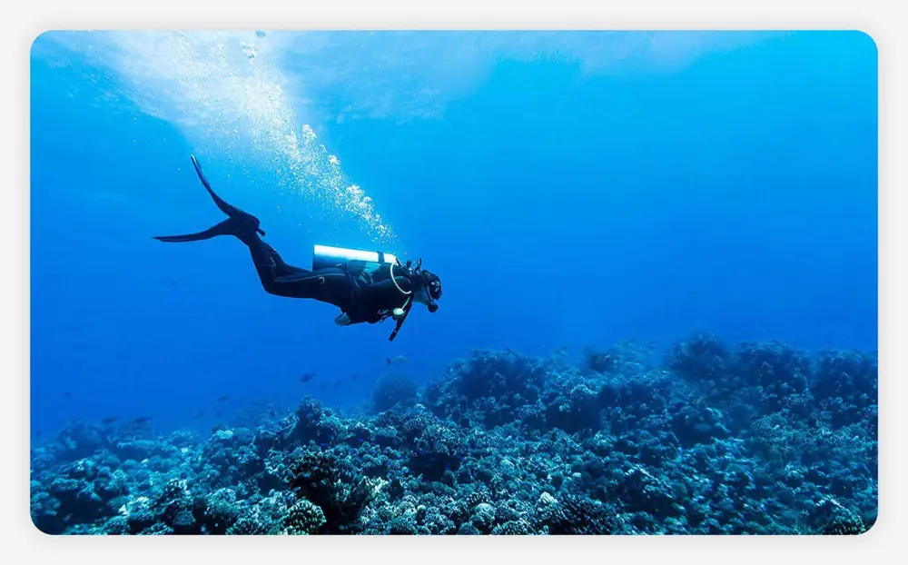 A scuba diver swimming beside a coral reef.