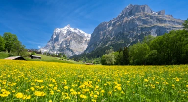 An Overview of Our Favorite Vacation Destinations in Switzerland