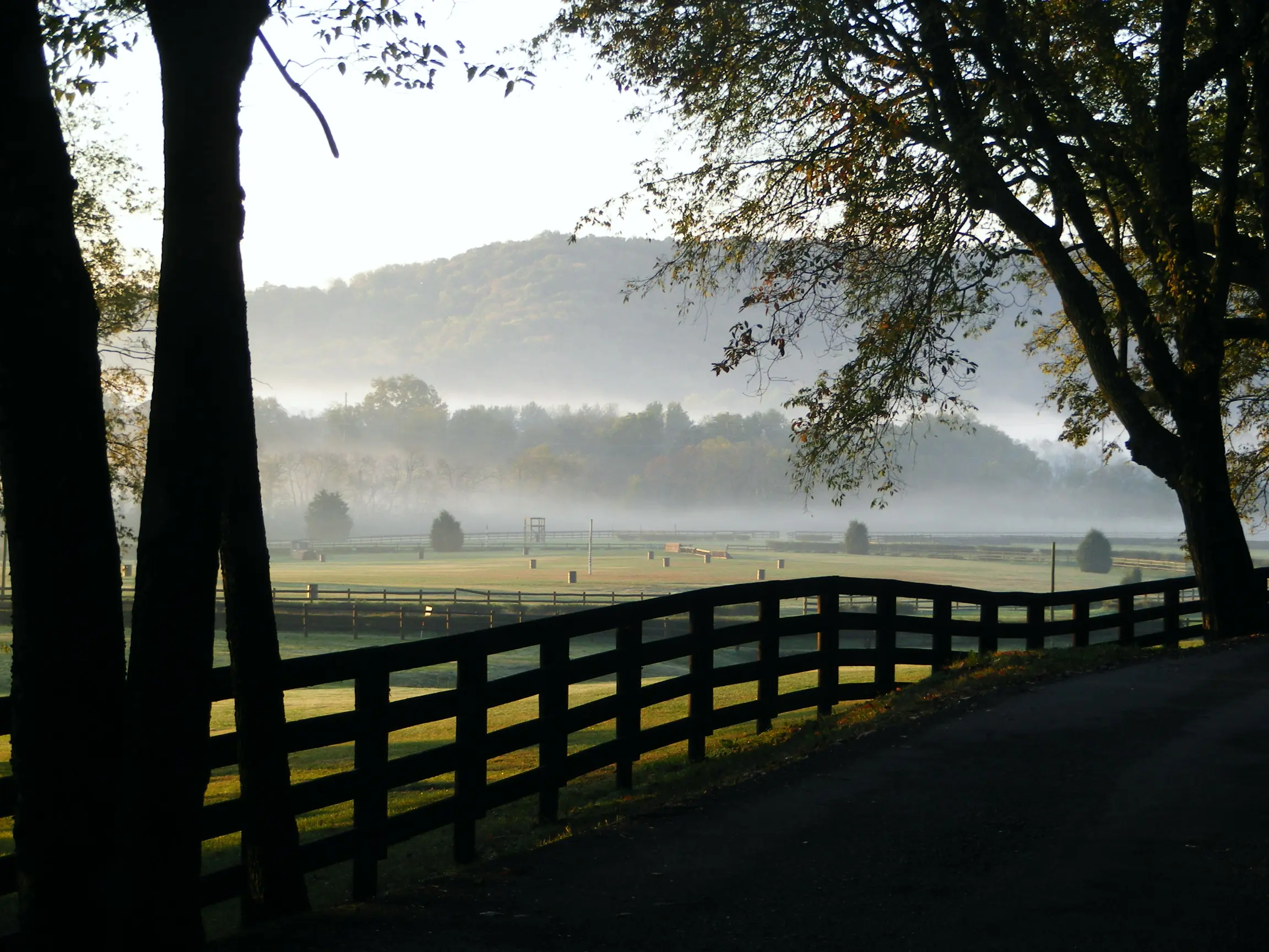 Outdoor shot of Percy Warner Park.