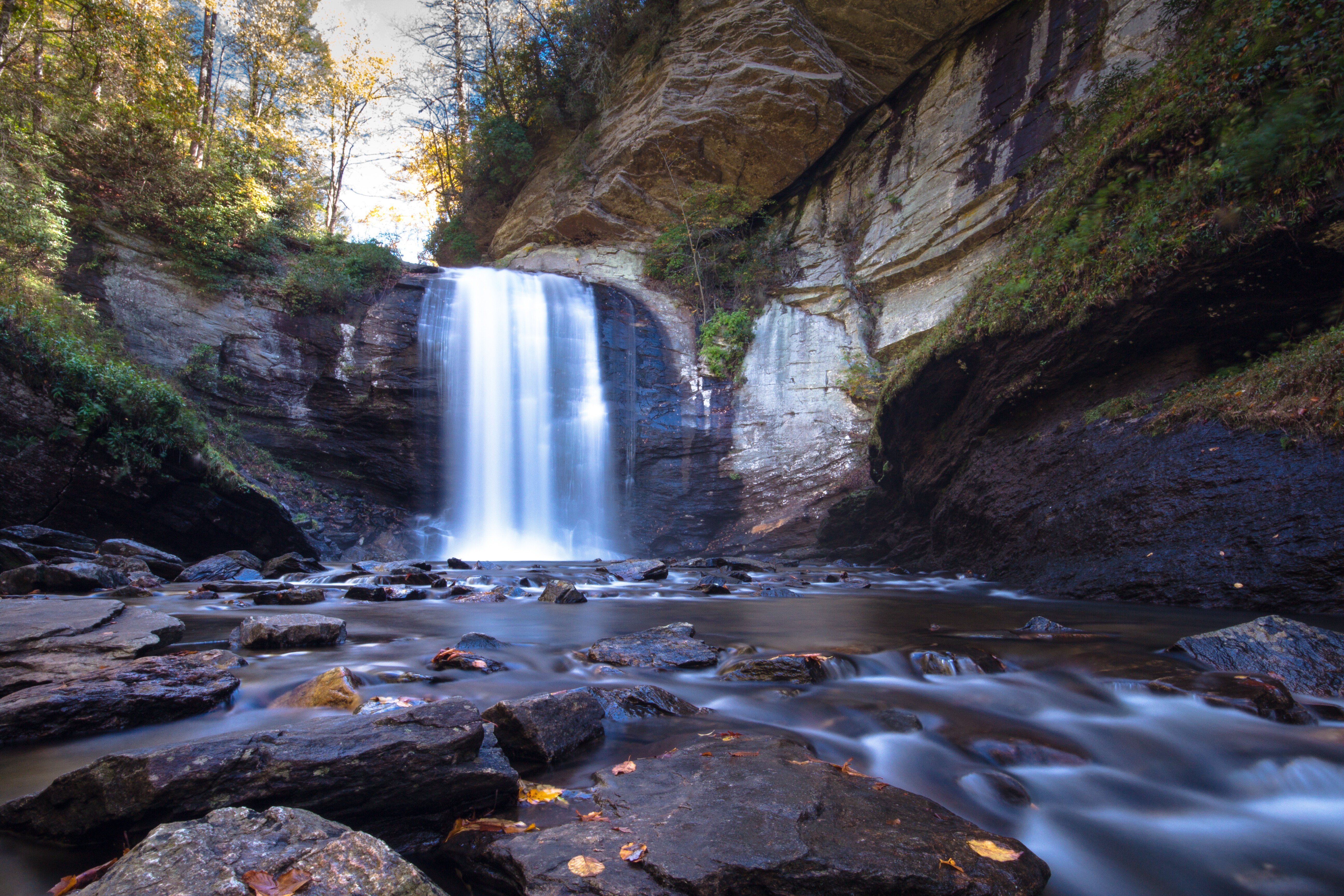 Forest Heritage Scenic Byway Road Trip