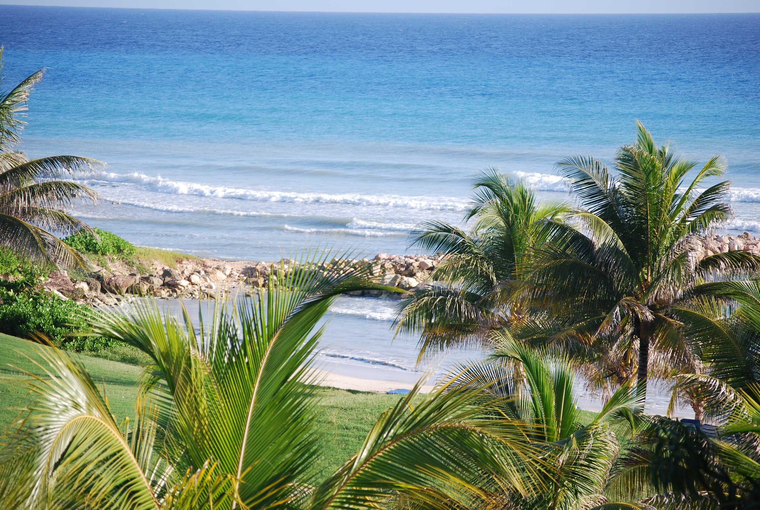 Image of beach shoreline through the trees in Lucea, Jamaica.