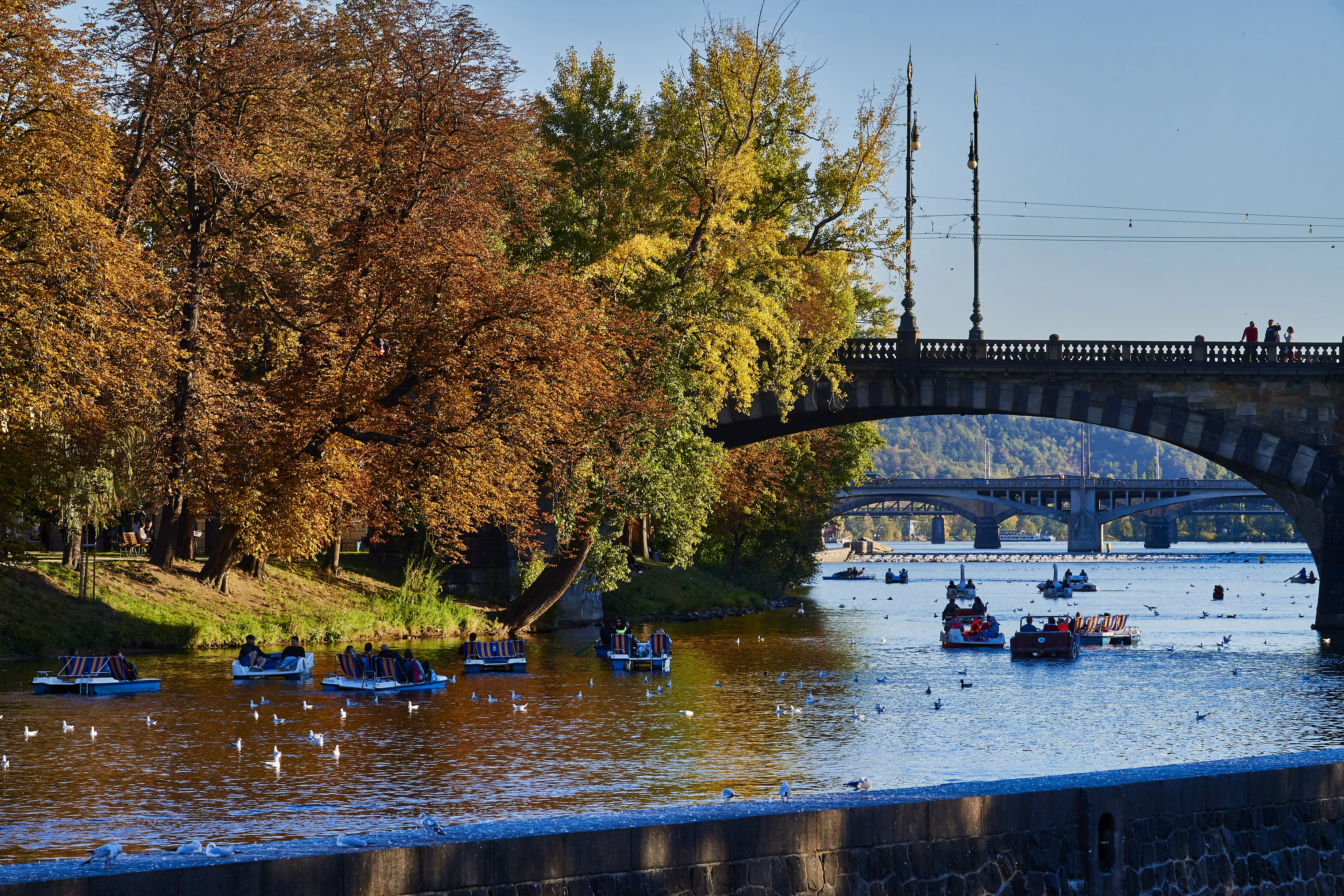 Photo of Prague during fall (season)