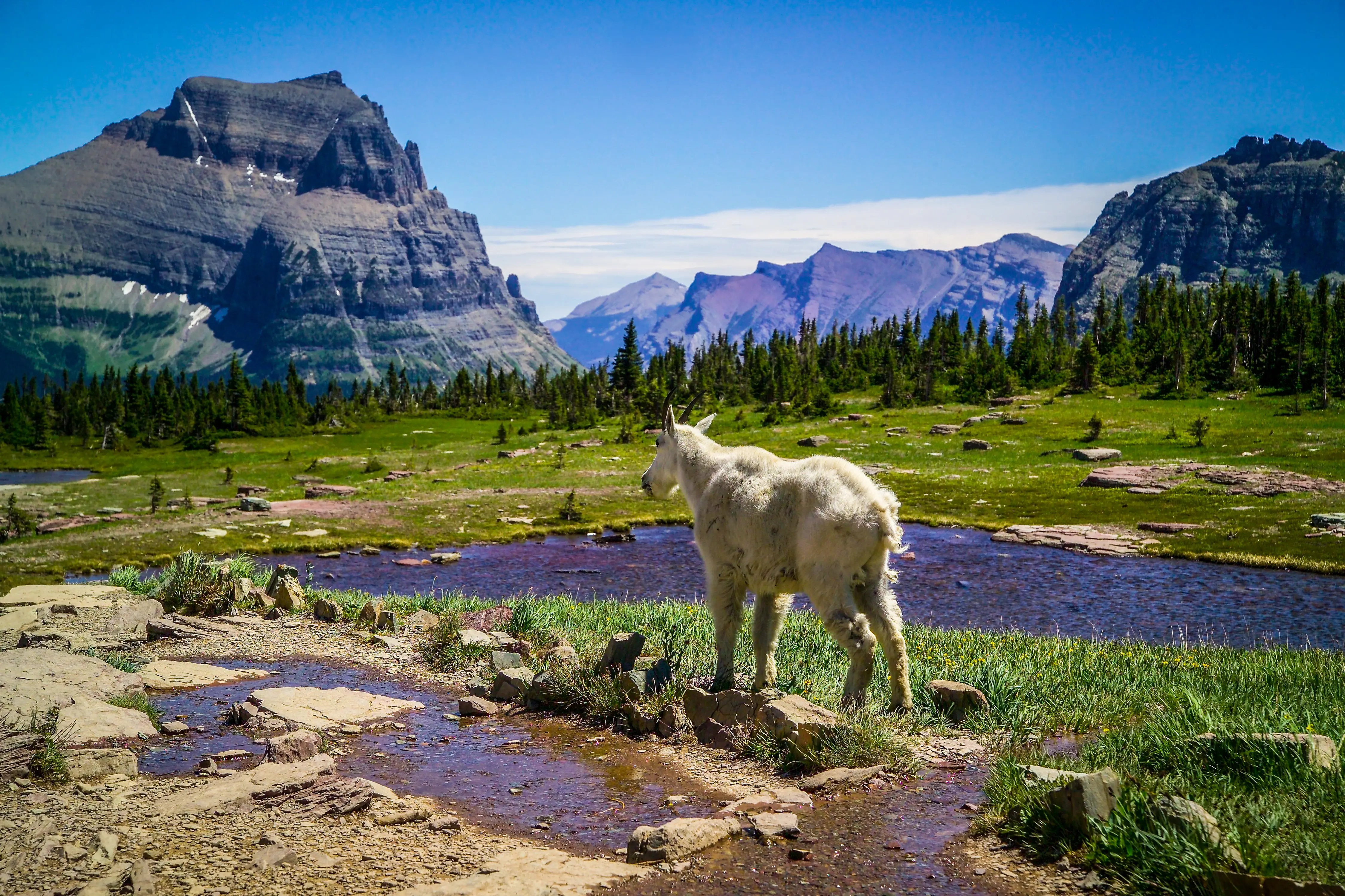 Glacier National Park Drive Trip