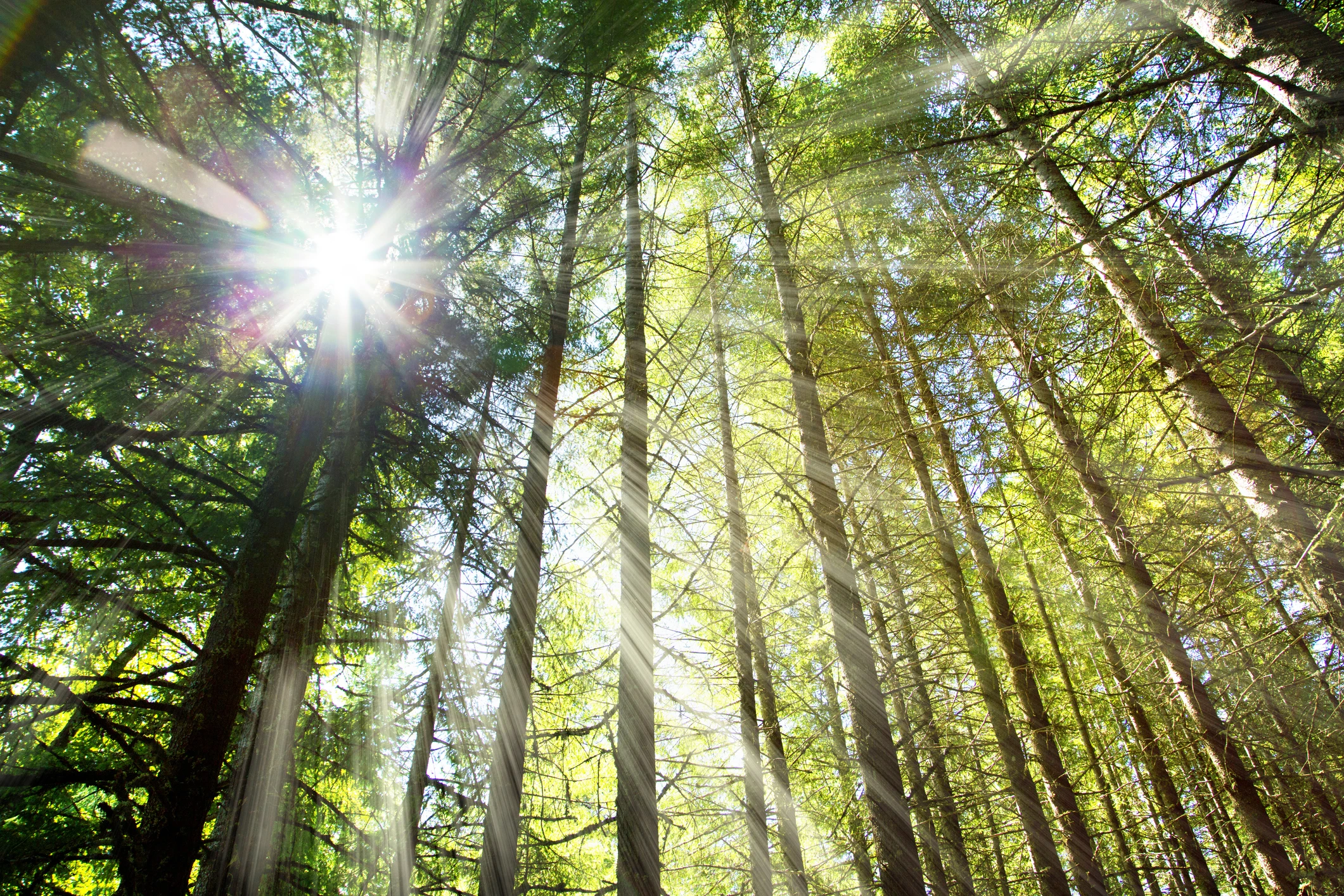 Robert Aufderheide Memorial Scenic Drive Road Trip