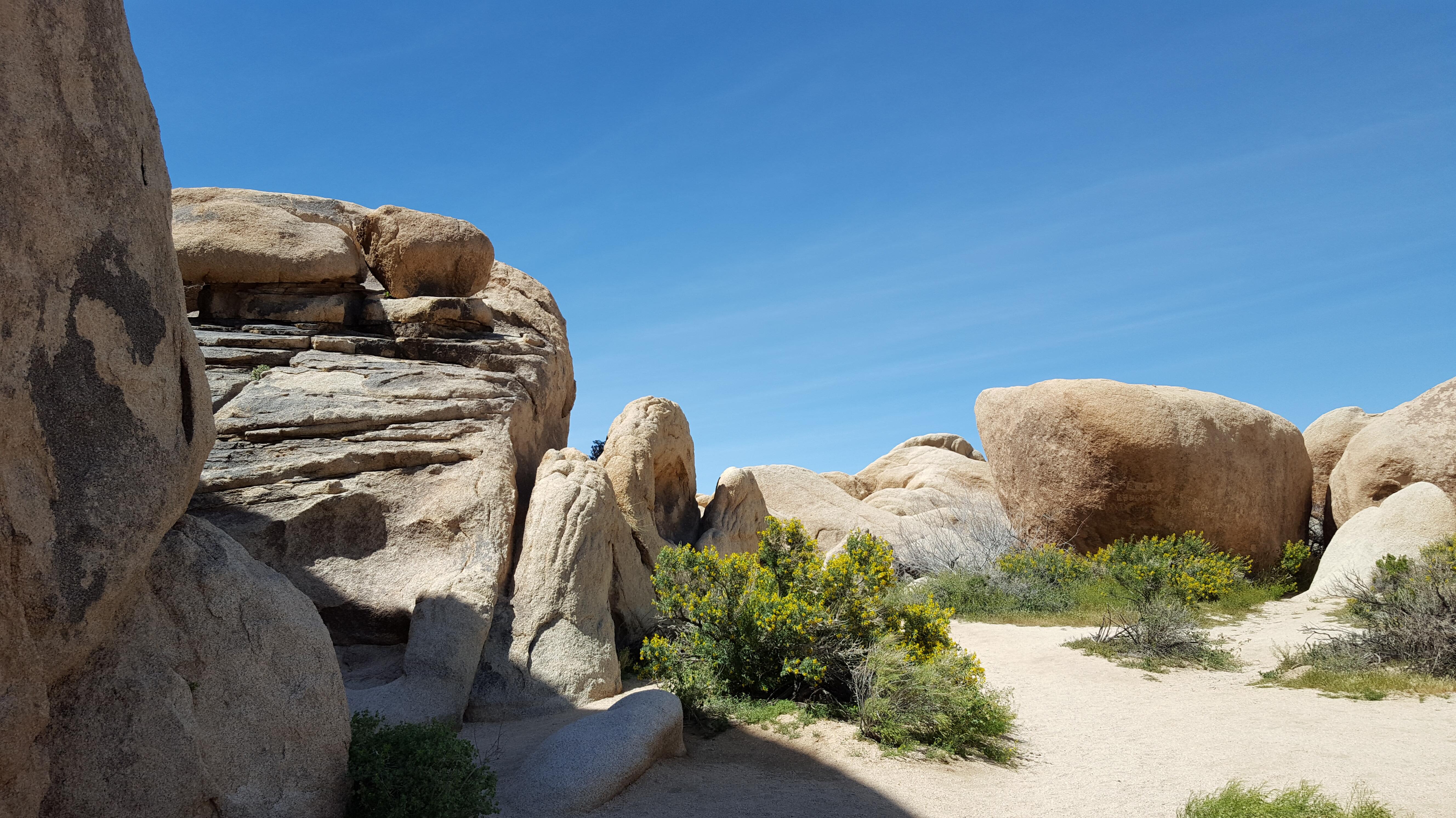 Scenery in the national park