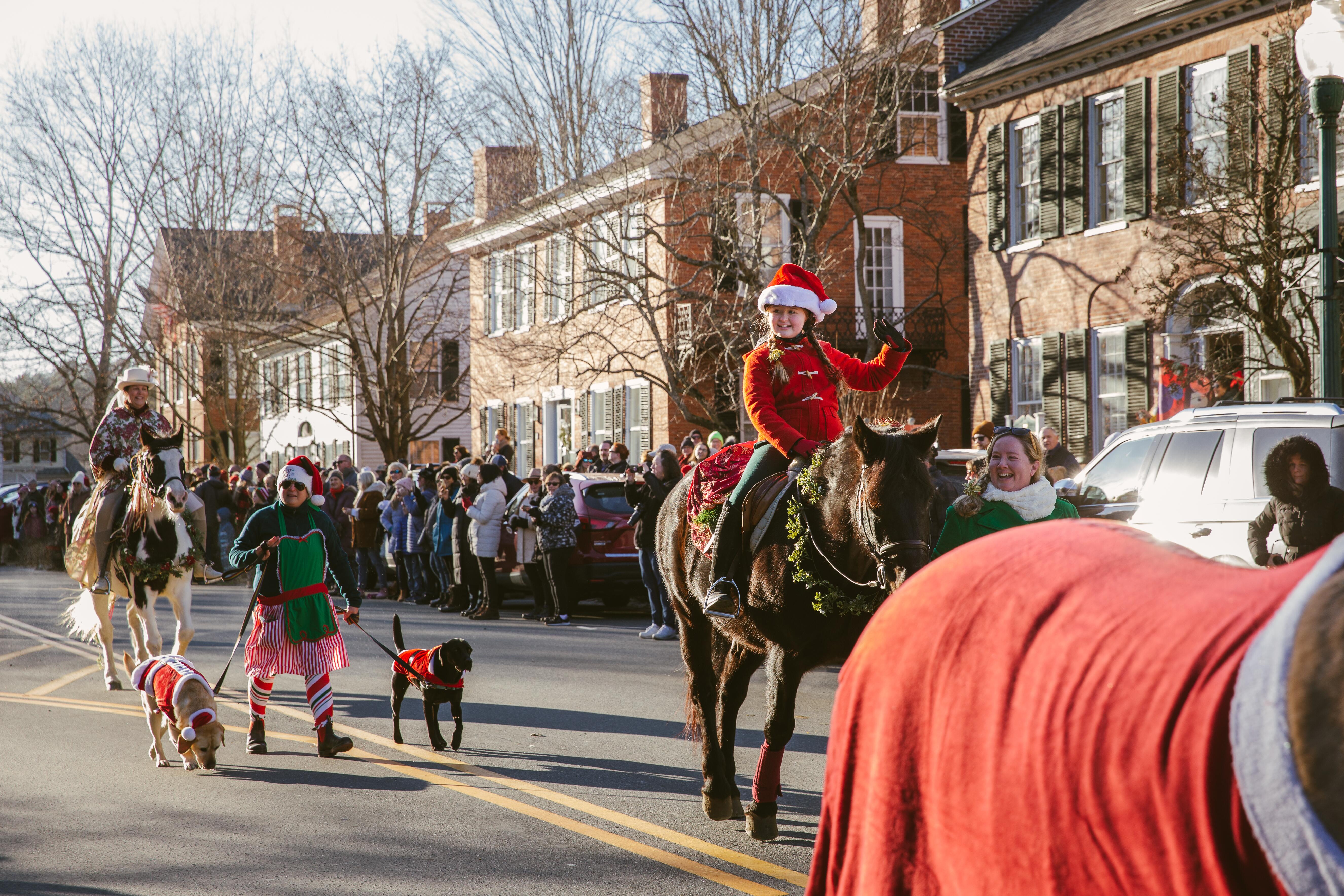 Woodstock Christmas parade with people on horses riding by followed by dogwalkers in festive sweaters with their dogs