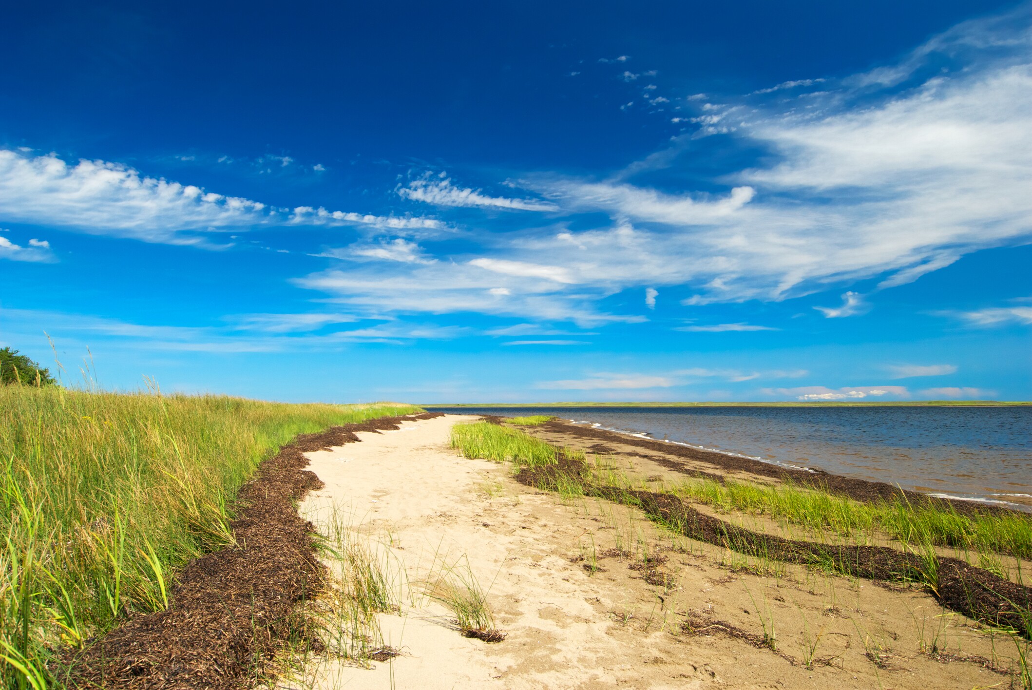 Acadian Coastal Scenic Drive Road Trip