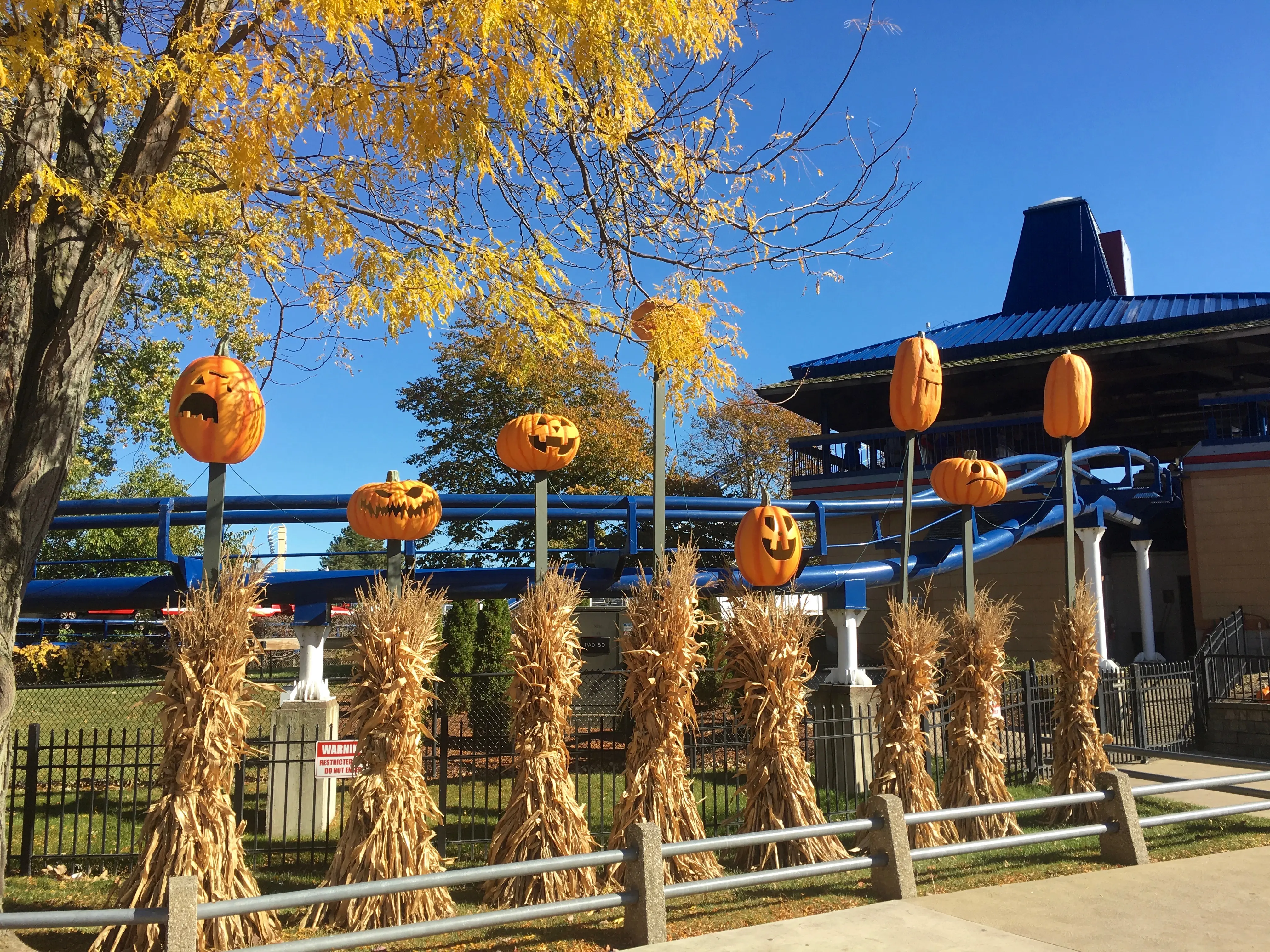 Image of decorative jack-o lanterns on display at Cedar Point HalloWeekends.