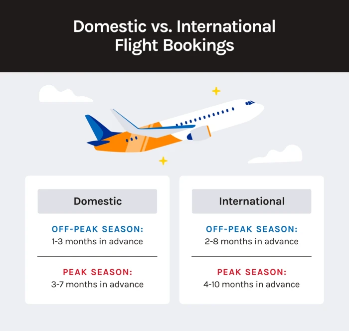 Domestic vs. international flight bookings comparison chart