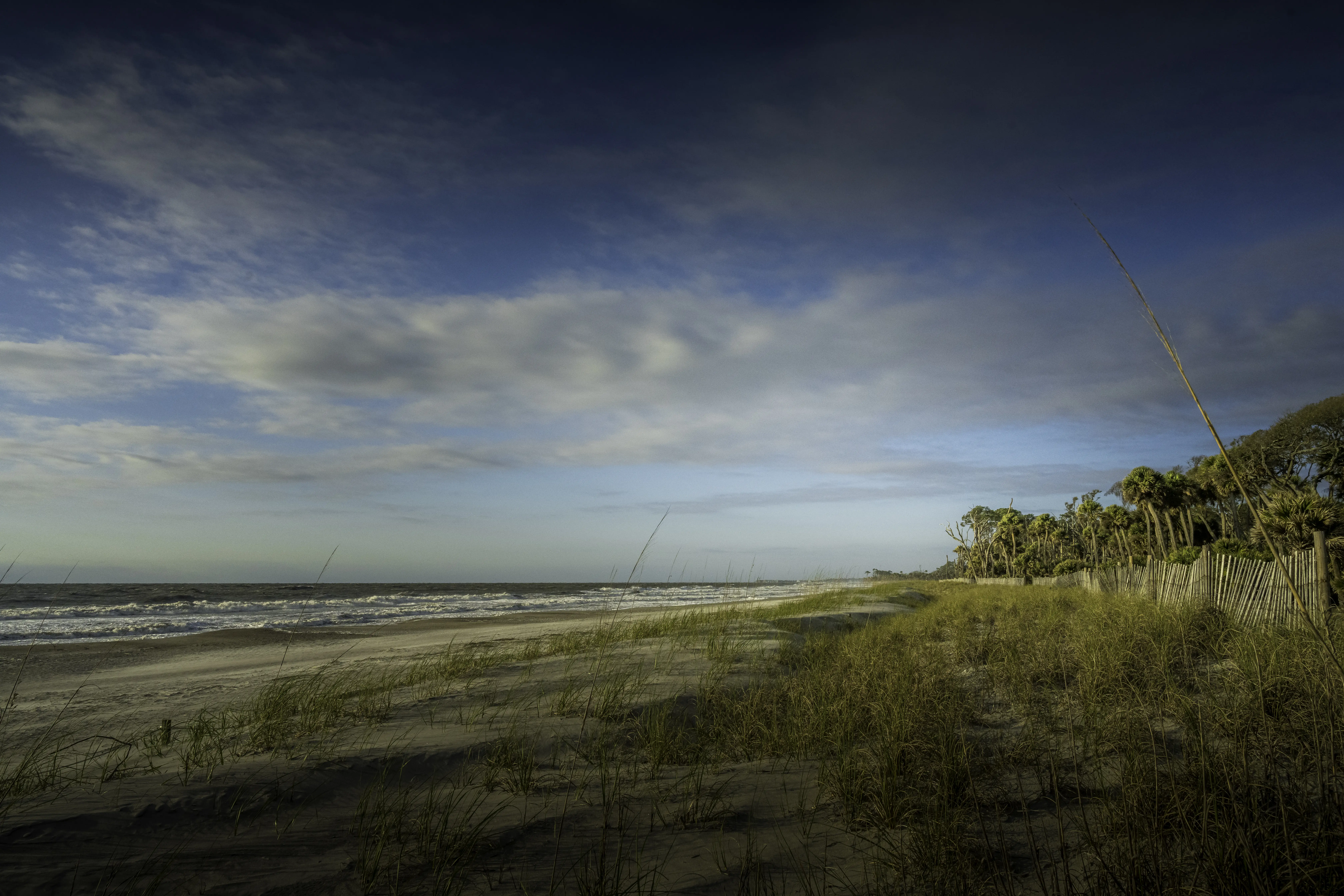 Image of the sand, grass and shoreline of Fripp Island Beach in South Carolina.