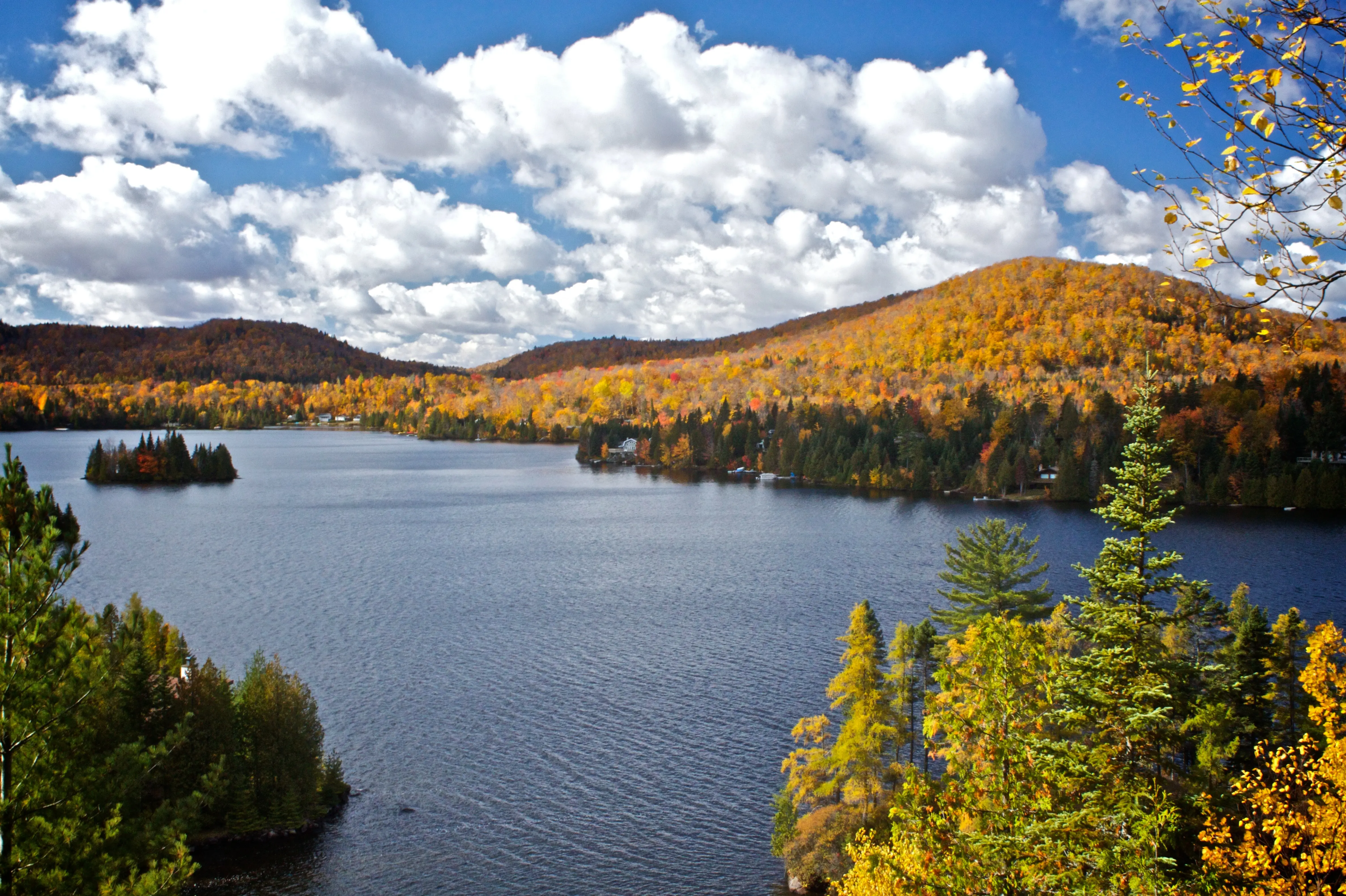 Image of autumn foliage at Lac Dufresne in the Laurentians, in Quebec, Canada.