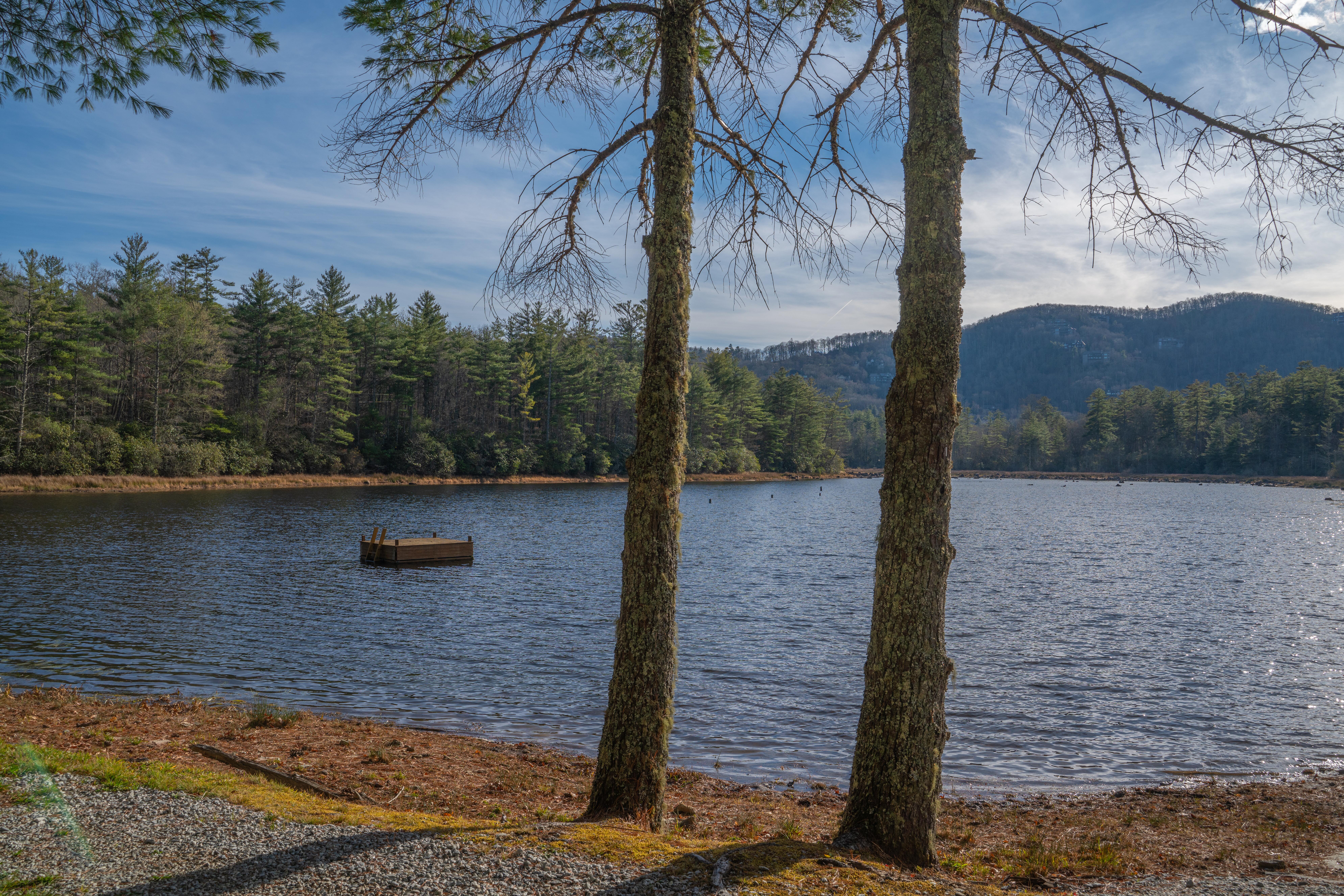 Image of the woodland scenery at a North Carolina lake.