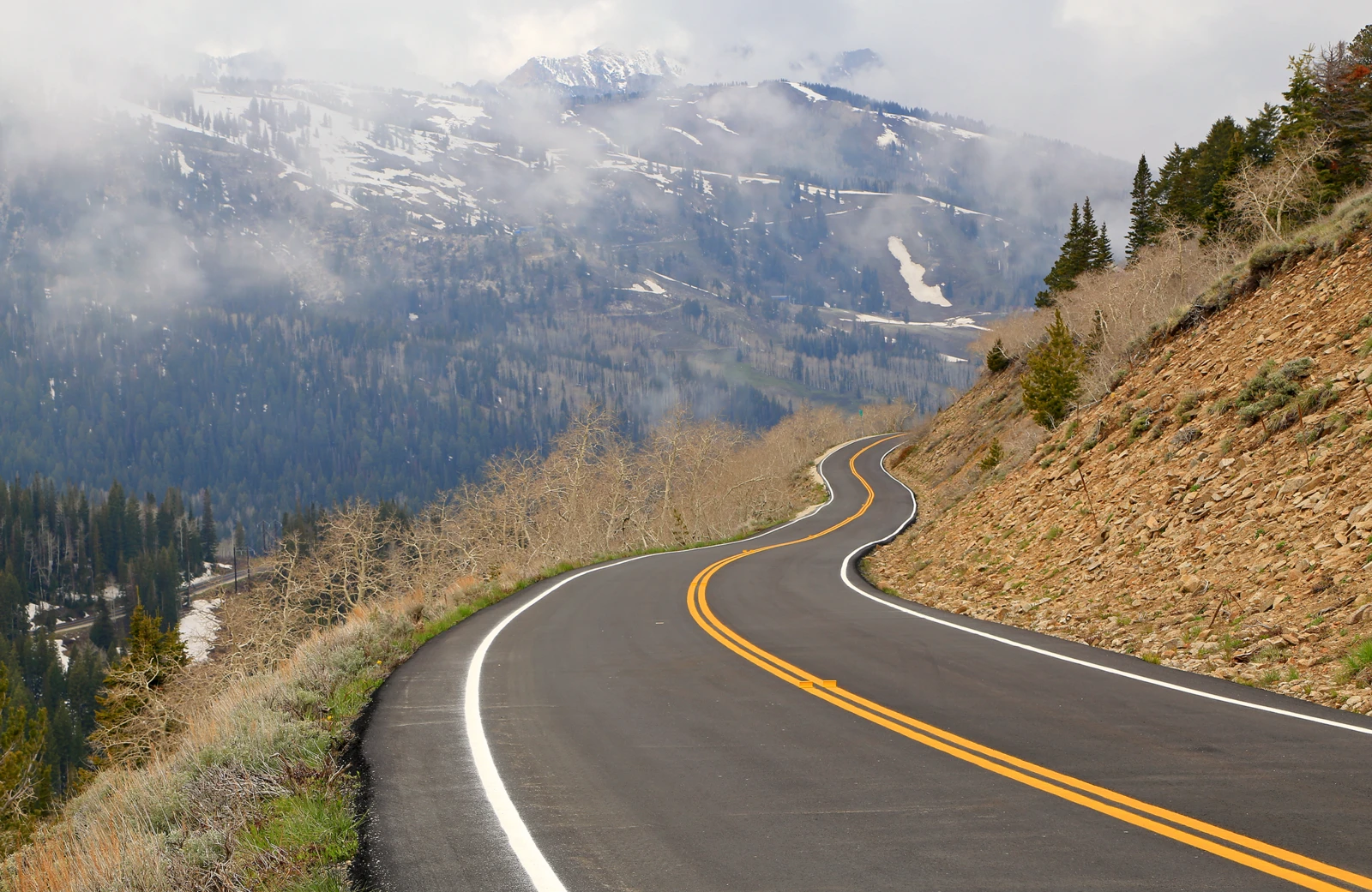 Road trips stop