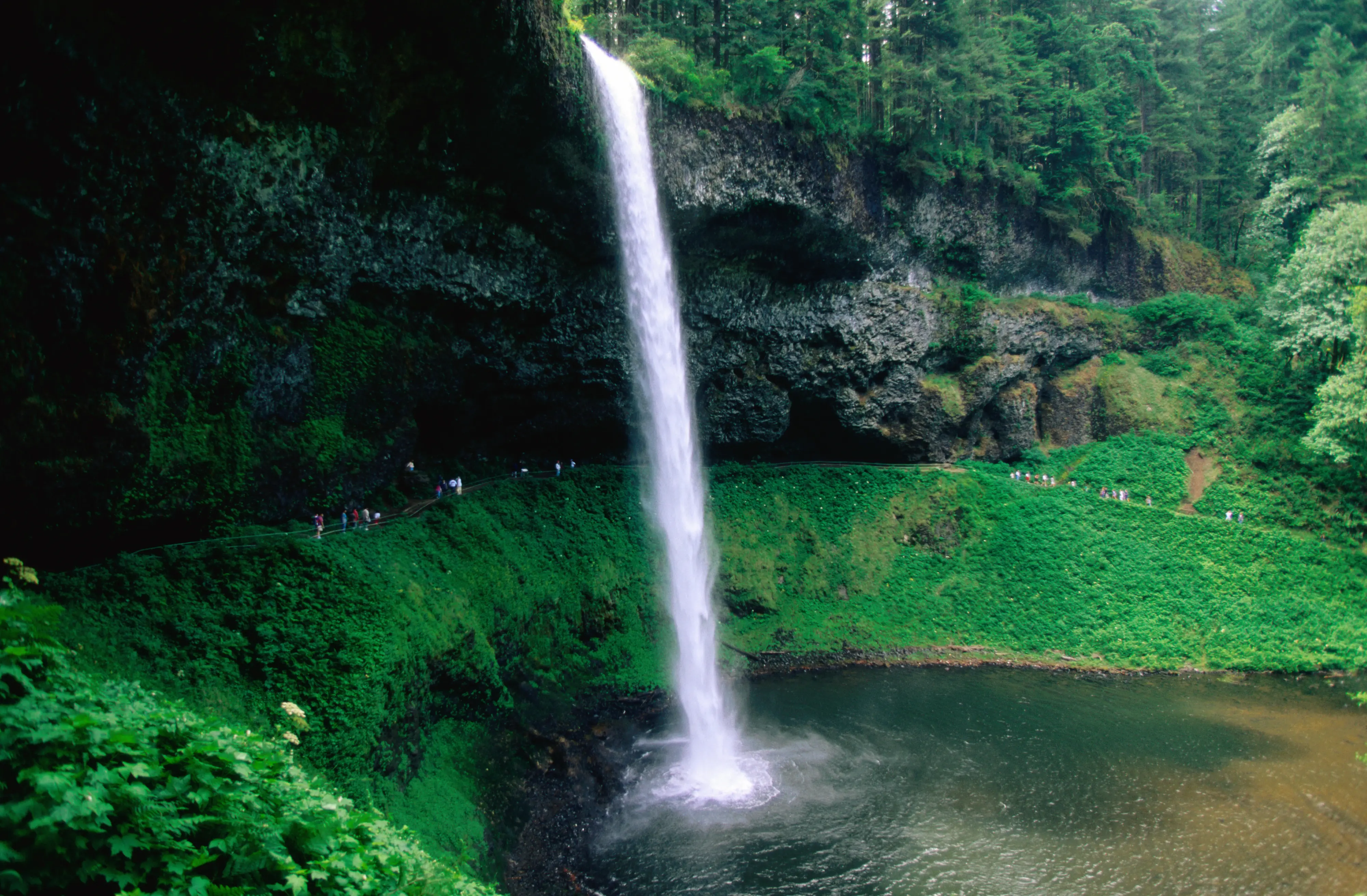 Outdoor image of walking trails at Silver Falls State Park