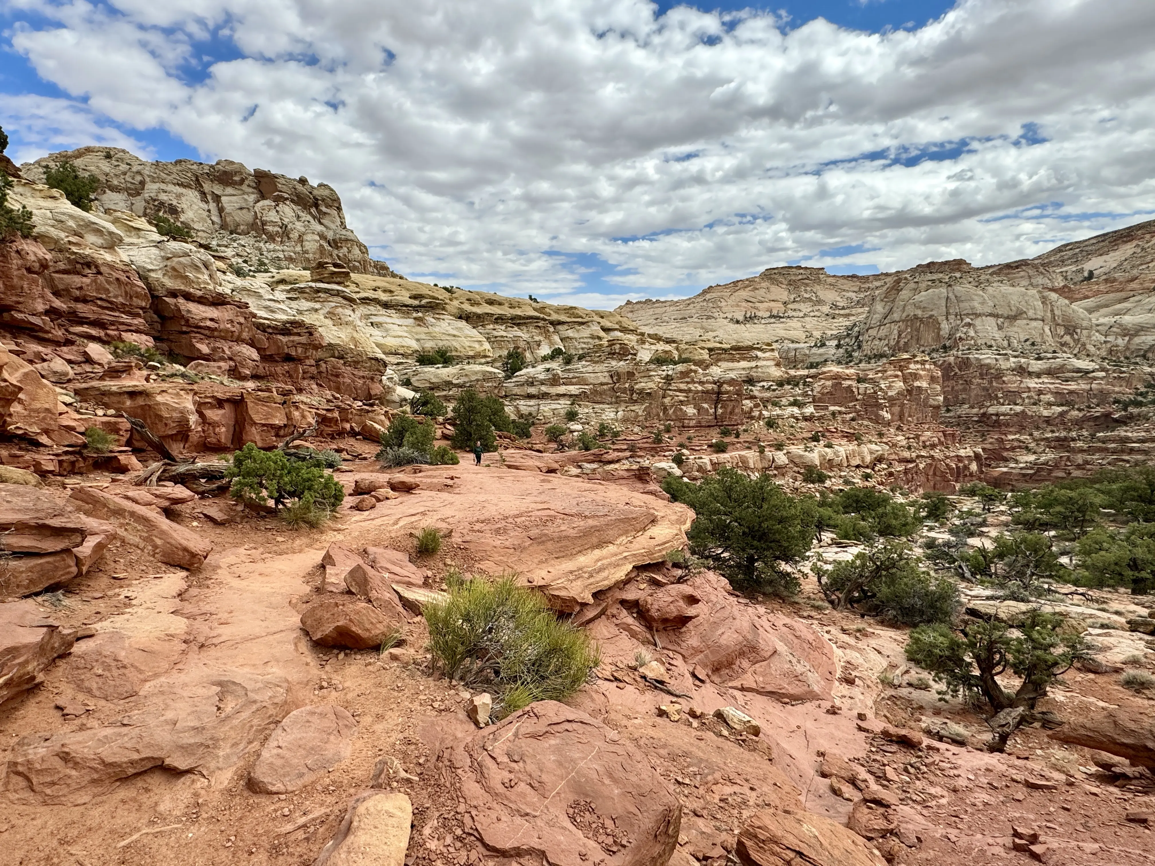 Outdoor image of the rock landscape scenery at Capitol Reef National Park.