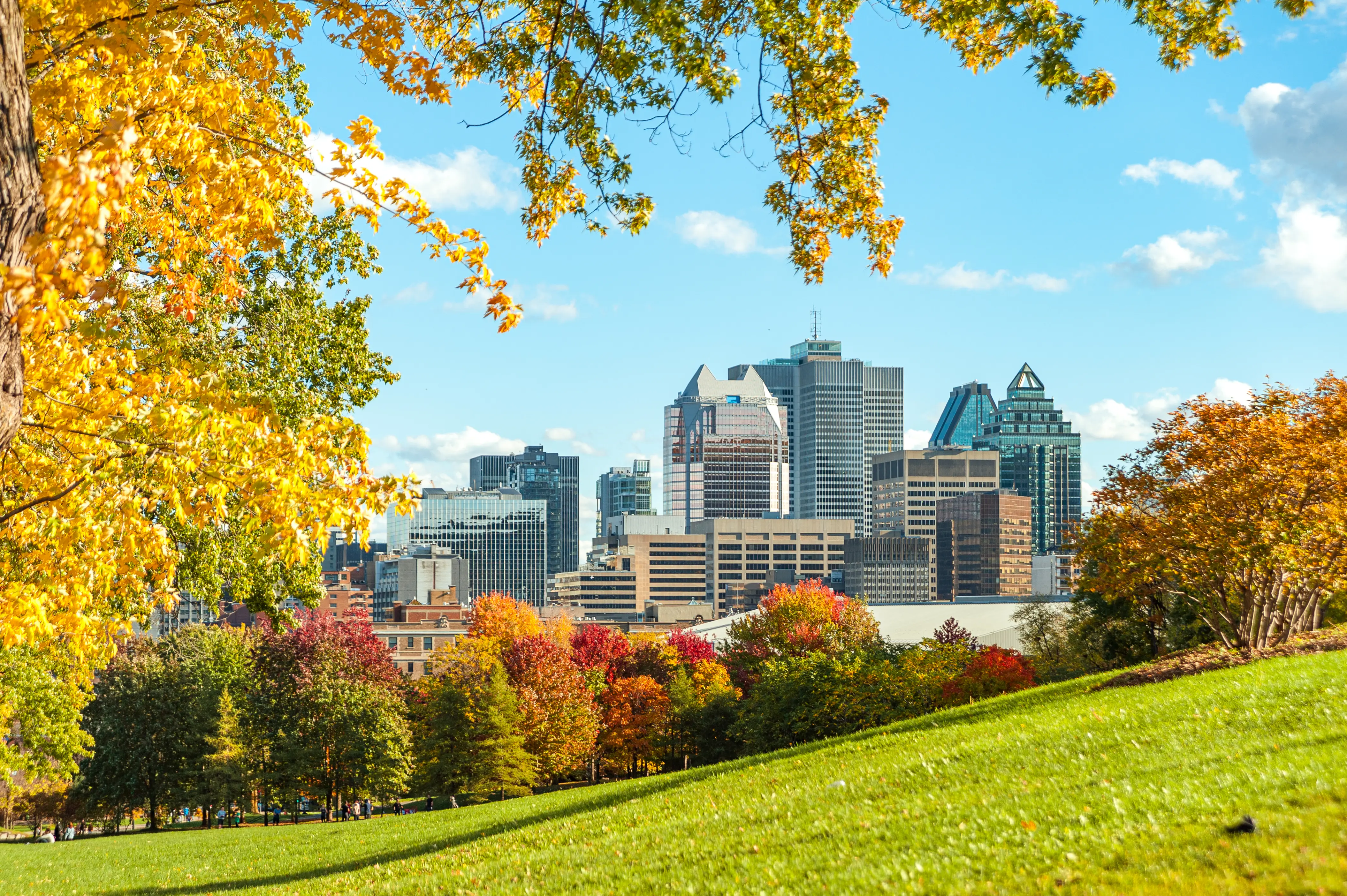 Image of a park in Montreal in Autumn.