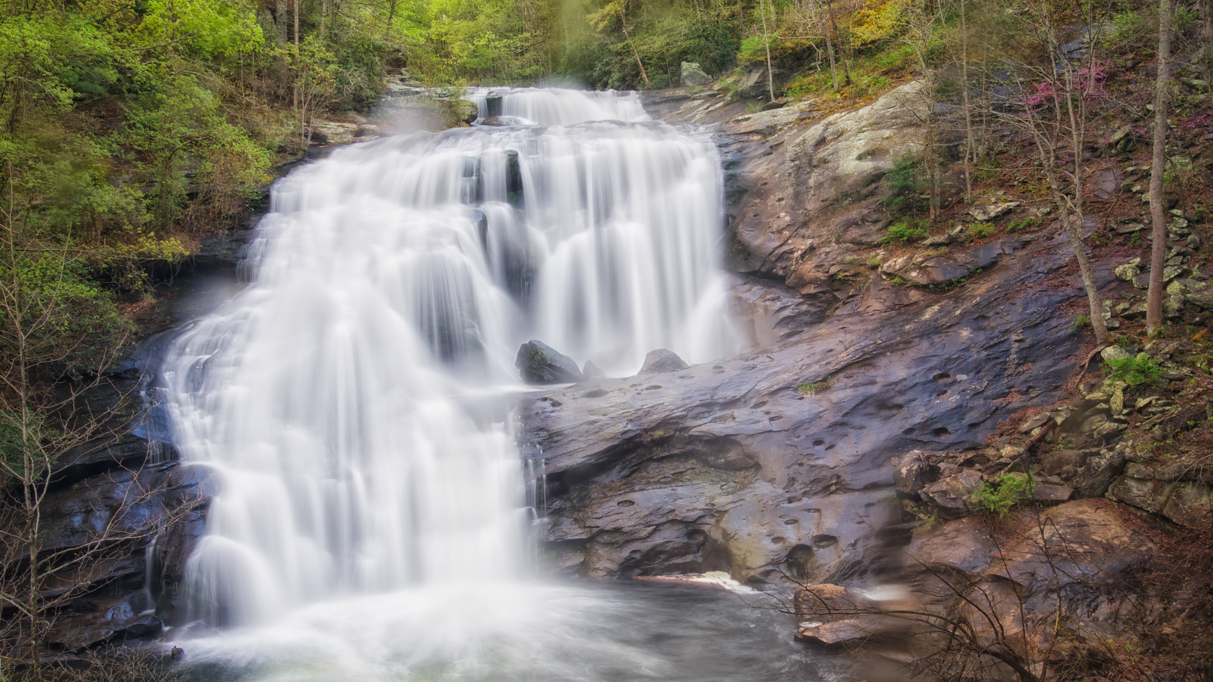 Tennessee's Cherohala Scenic Skyway Road Trip