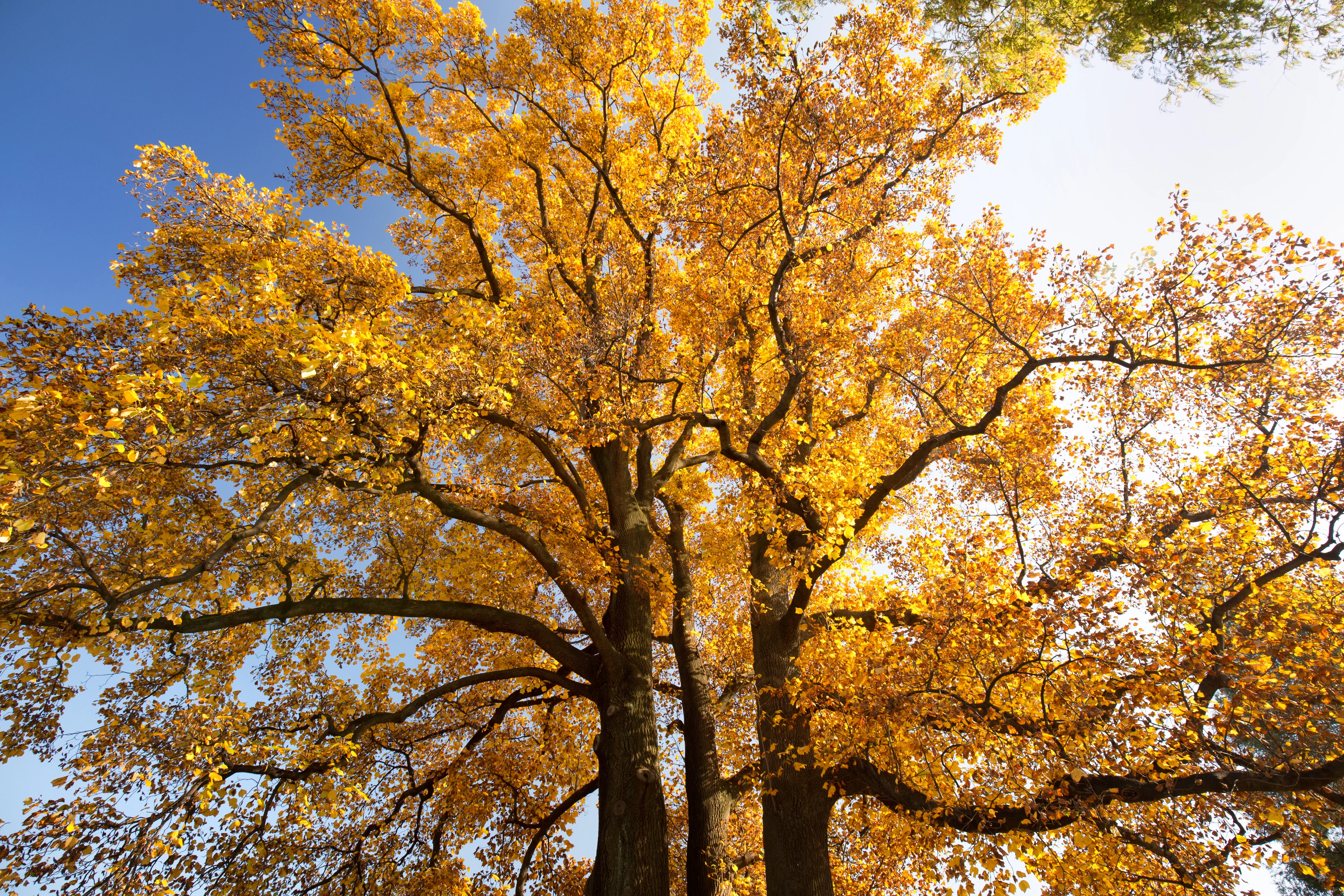 Allegheny National Forest Scenic Drive Road Trip