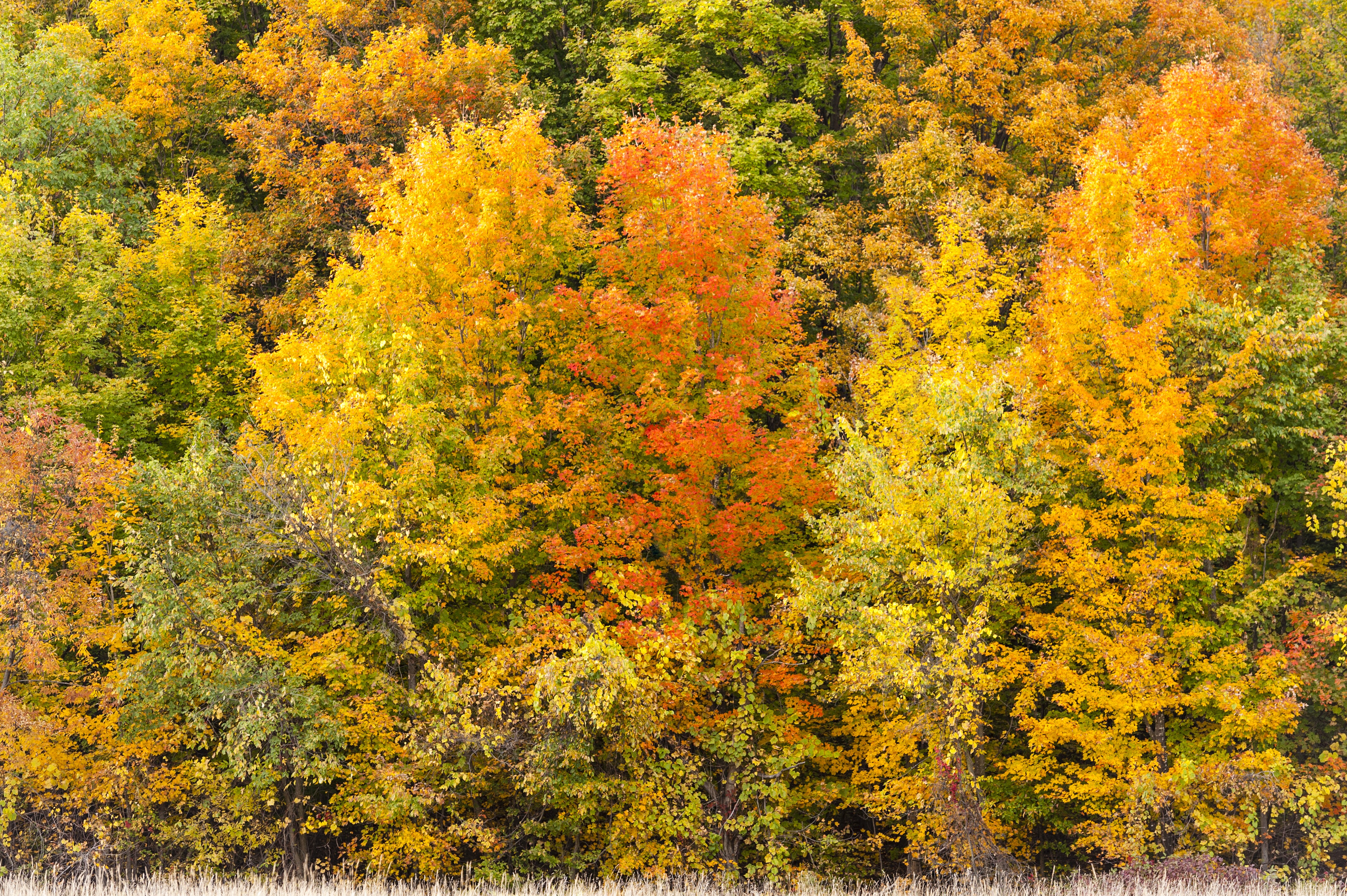 The Laurentides Region Scenic Highway Road Trip