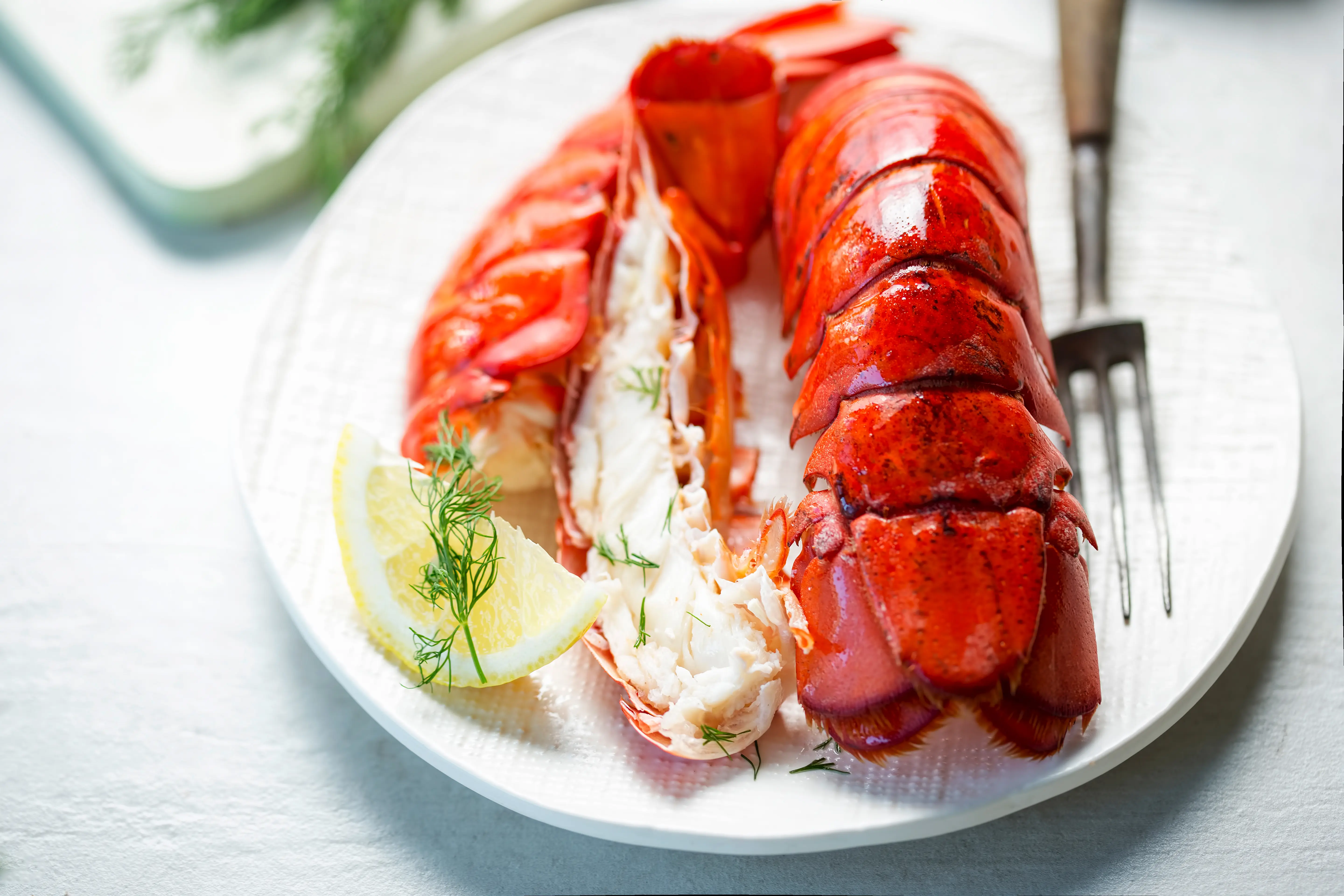Lobster tails with lemon and dill on the side