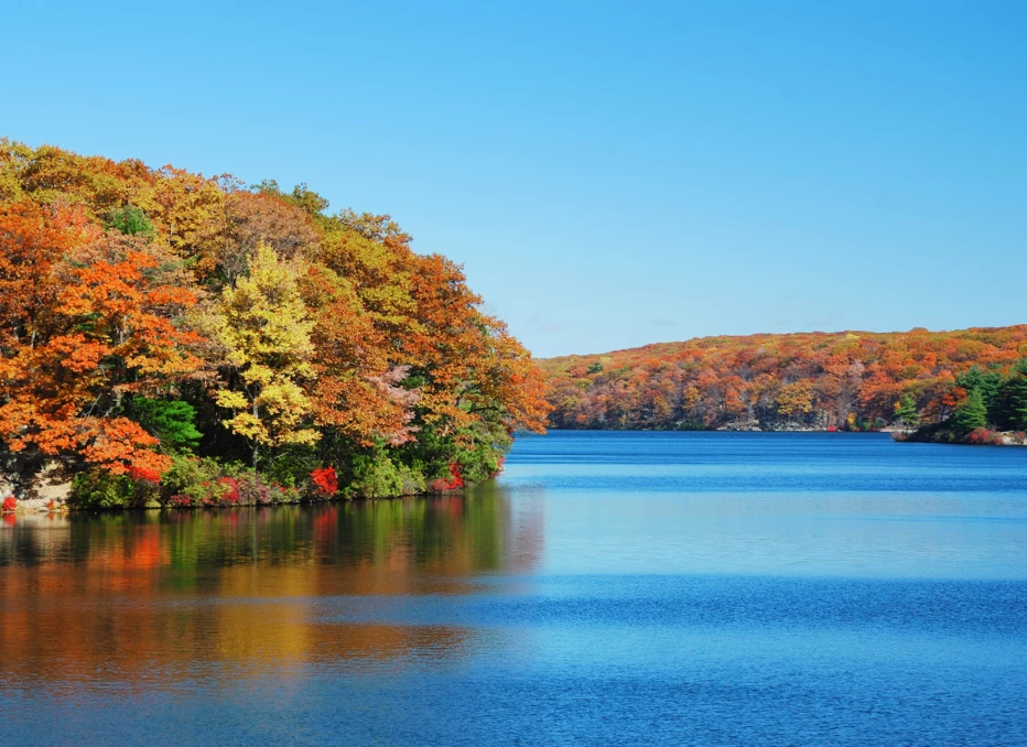 Autumn trees in the Hudson River Valley in New York