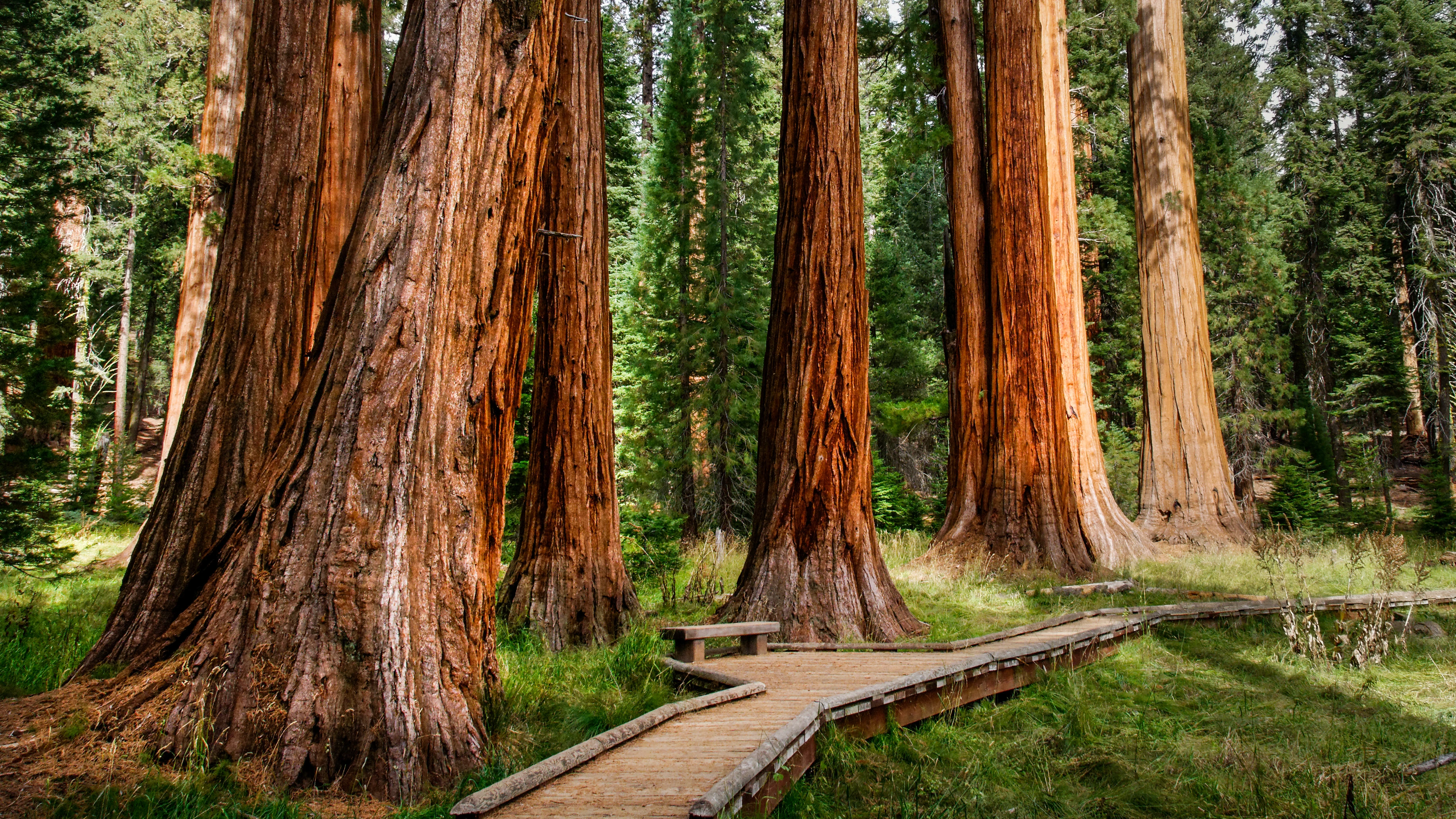 Kings Canyon Scenic Byway Road Trip