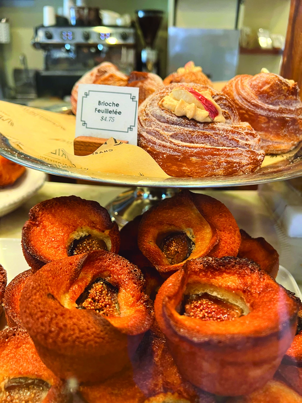 MarieBette in Charlottesville