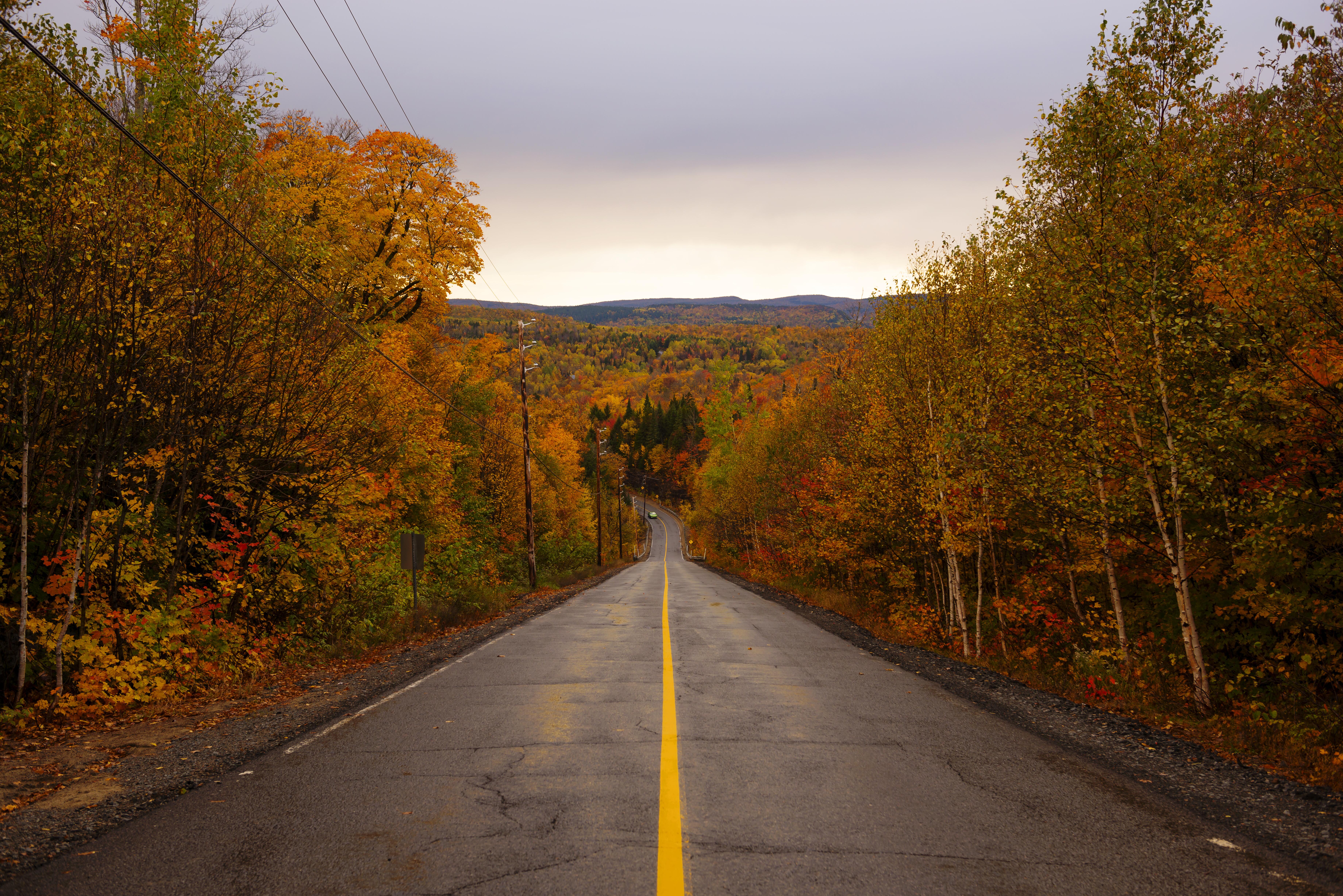 Image of a highway road in Quebec, in fall.