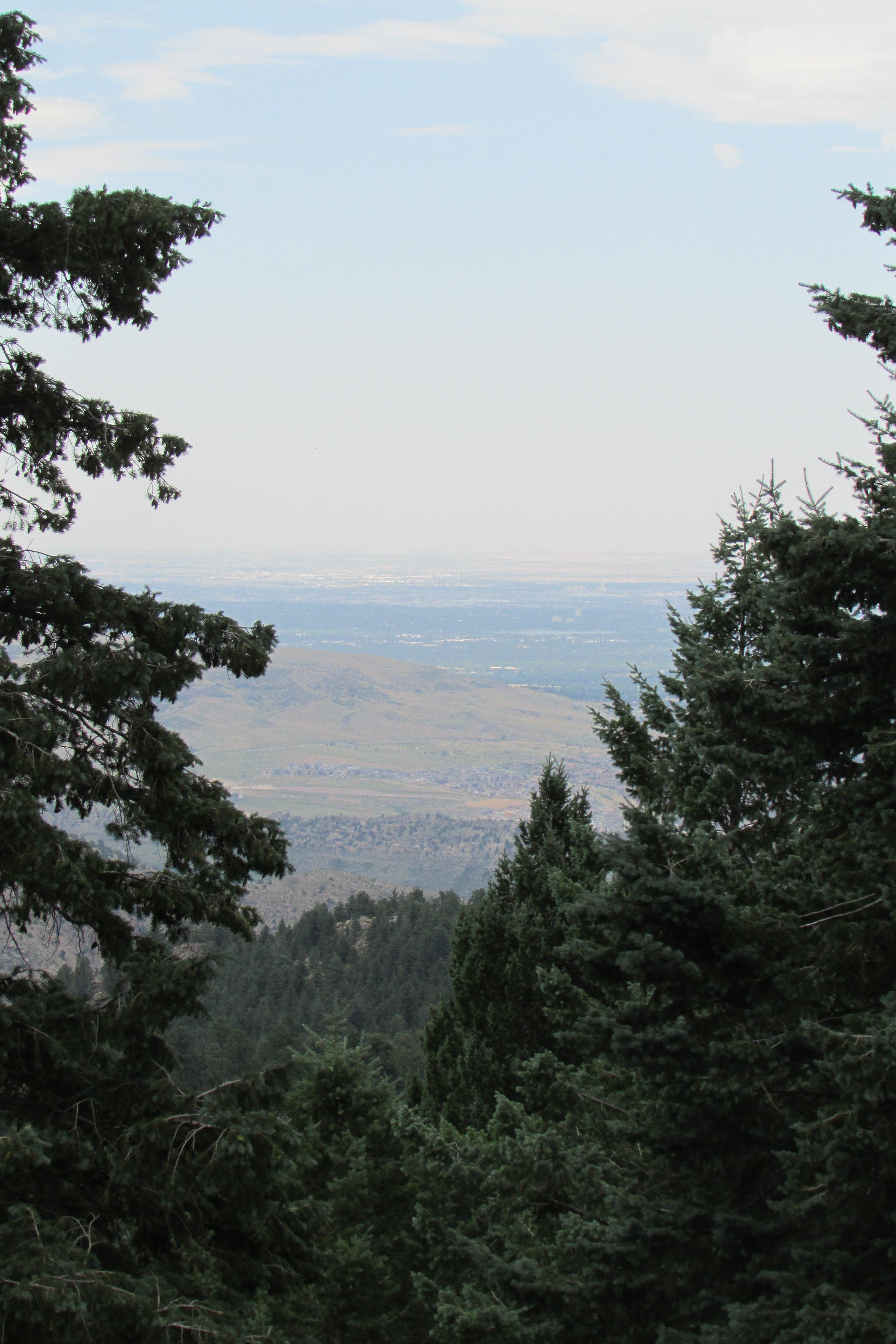 Photo of the landscape and scenery of Mount Falcon Park.