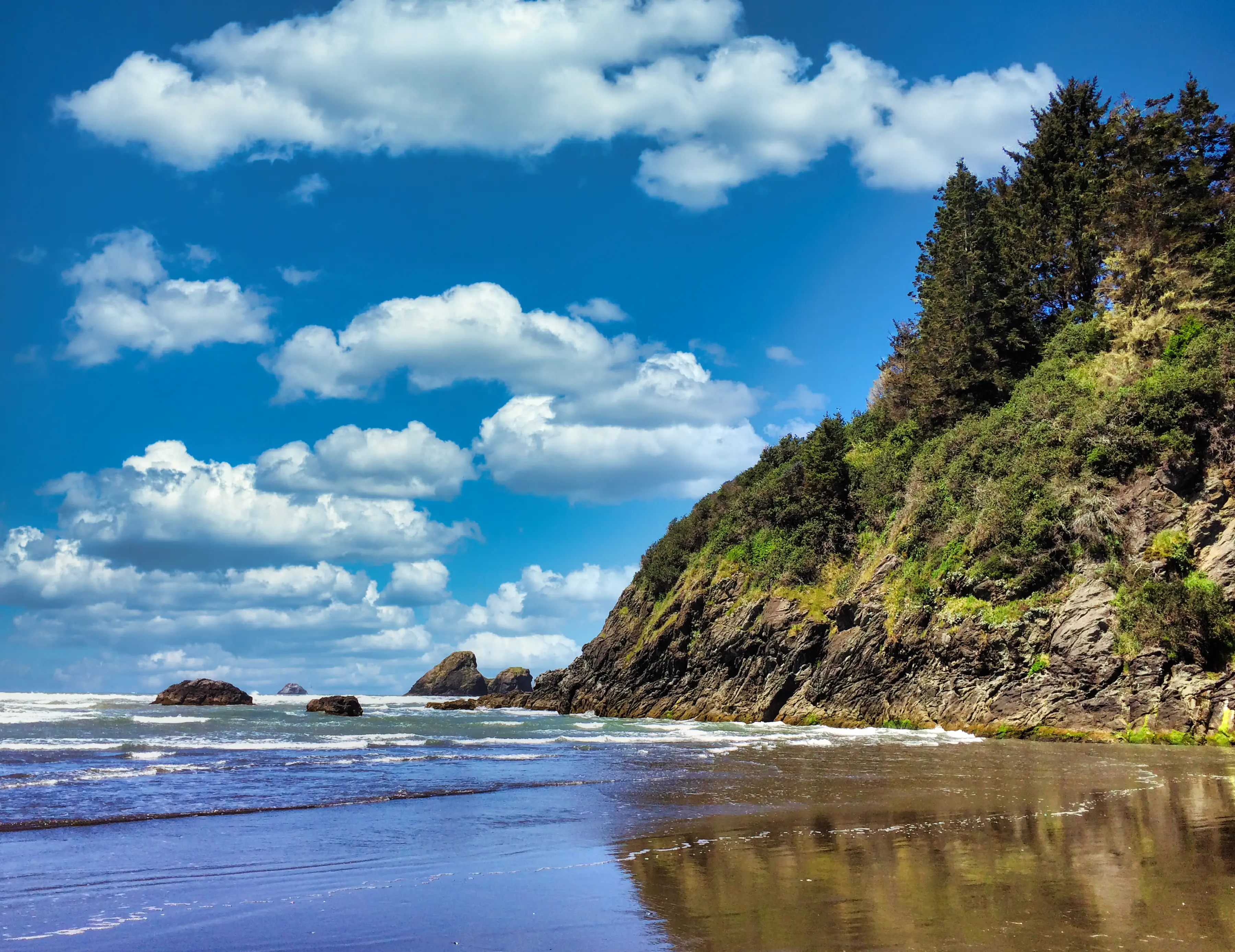 Image of Beach and mountain in Arcata, California.