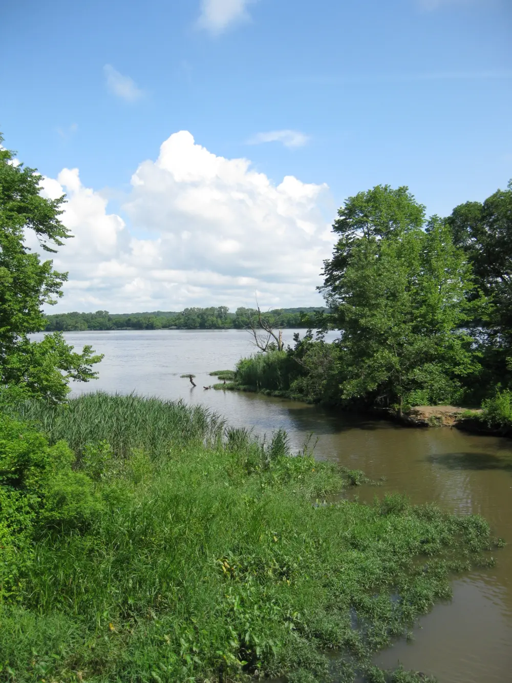 Views of a river within Starved Rock State Park in Utica, Illinois.