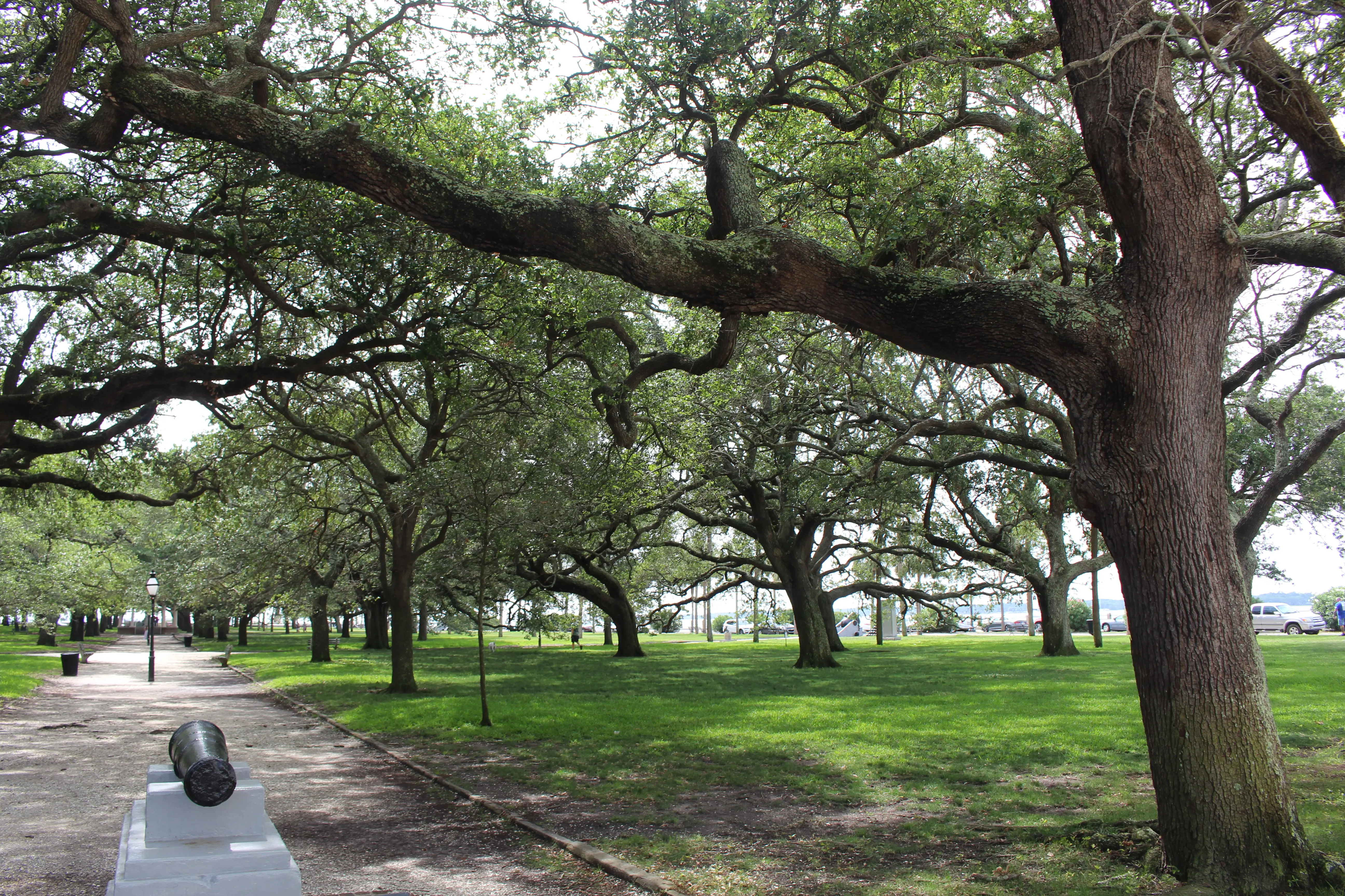 null