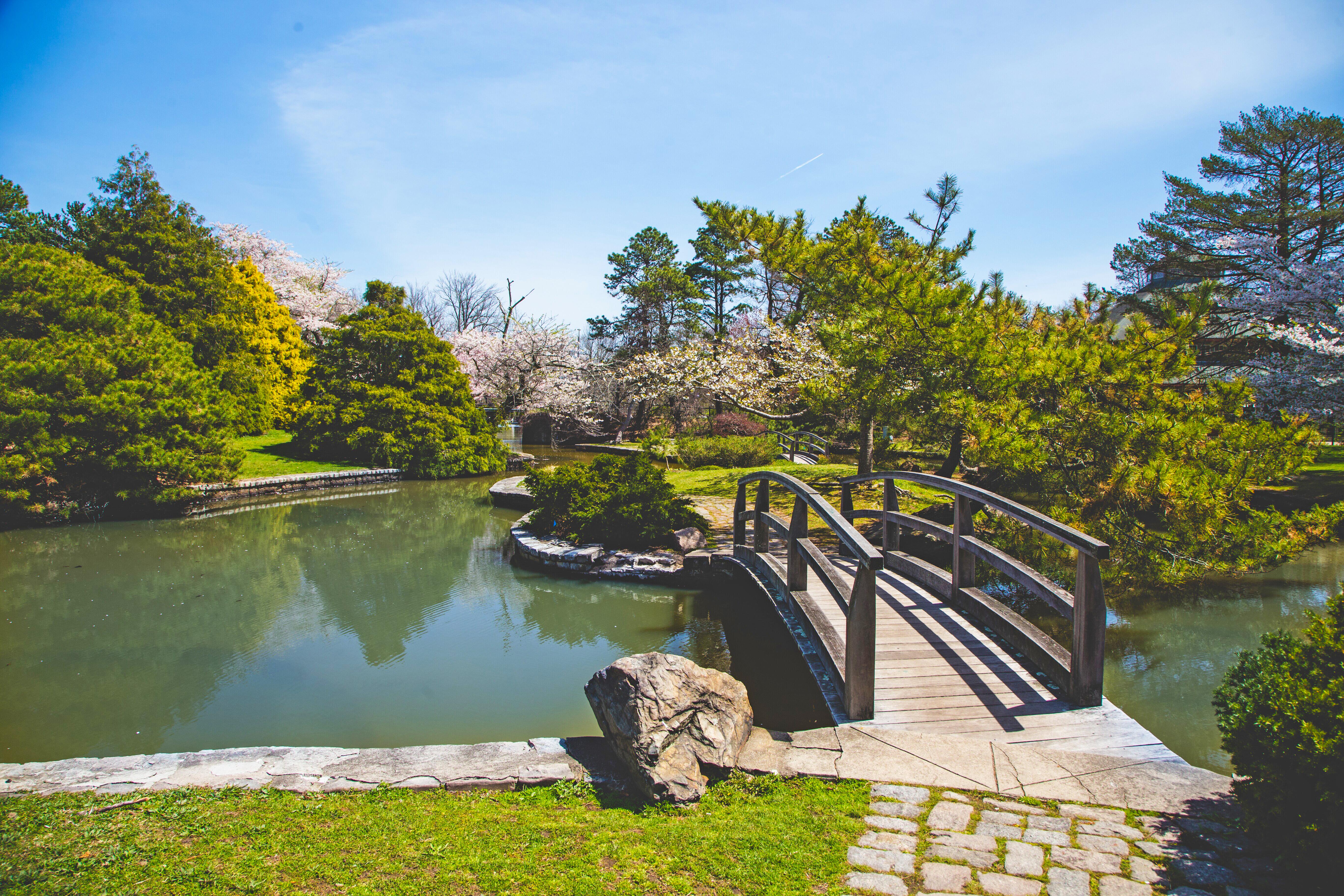 Japanese Garden at Roger Williams Park