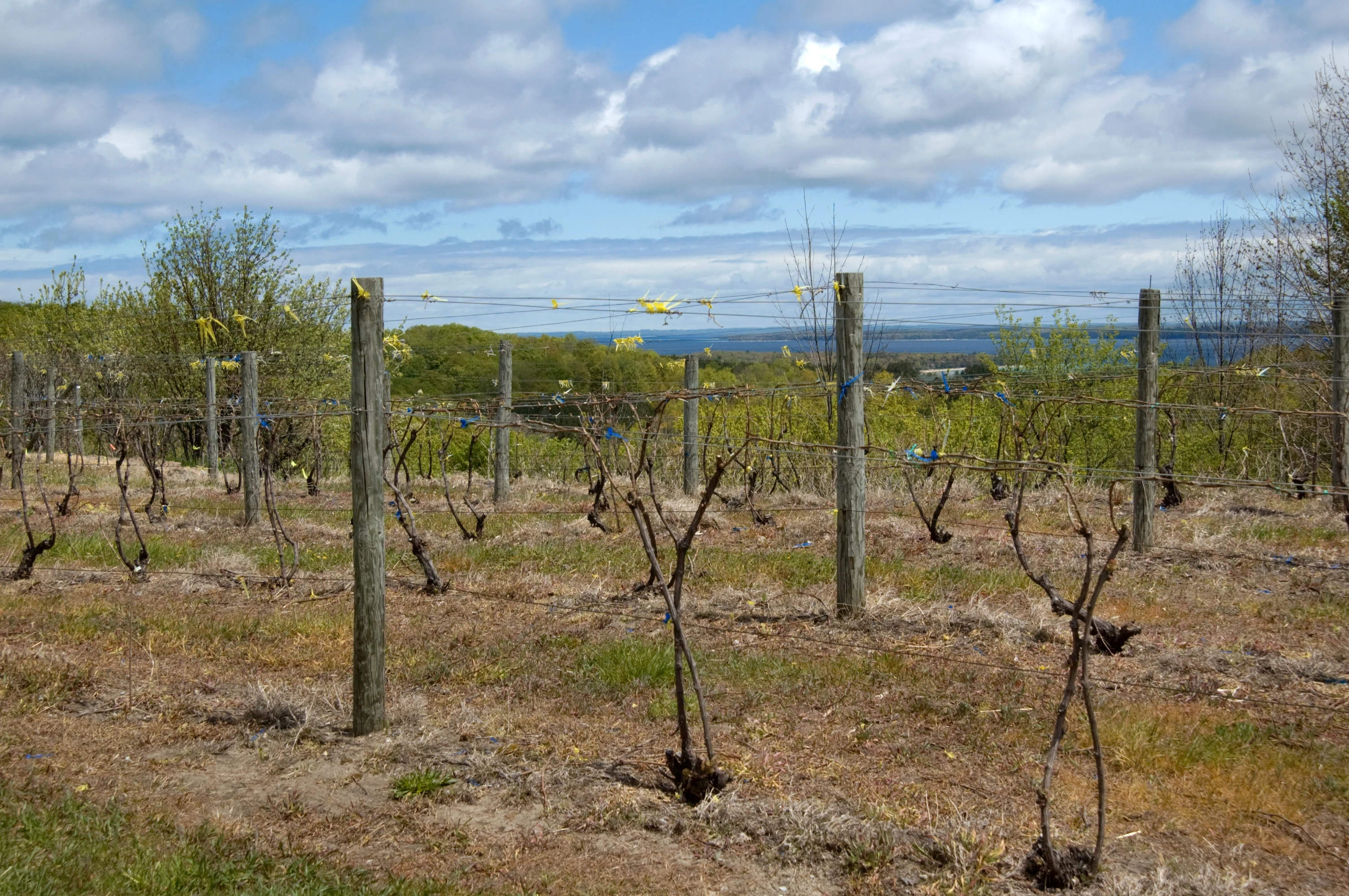 Michigan's Scenic Route 31 Road Trip