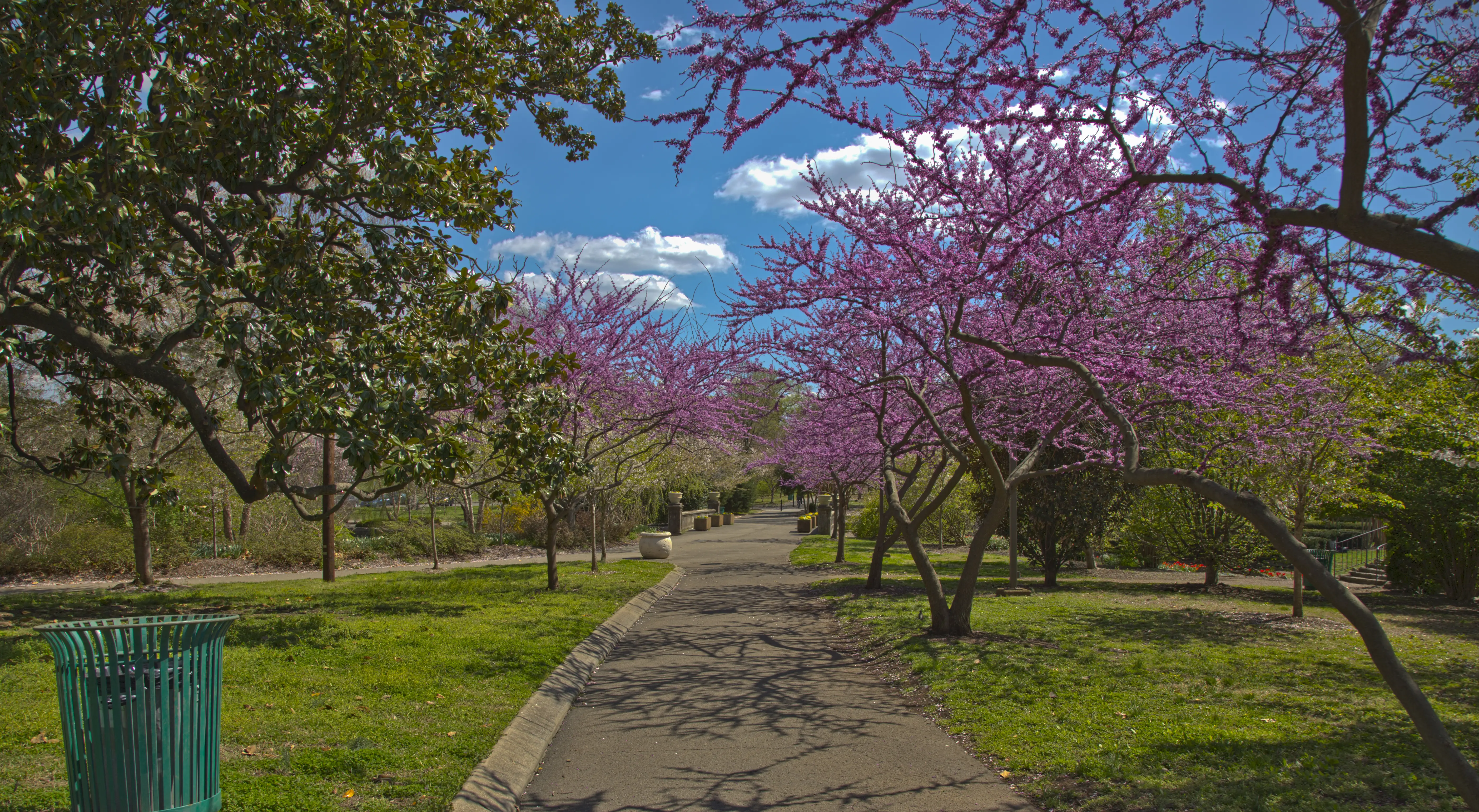 Centennial Park
