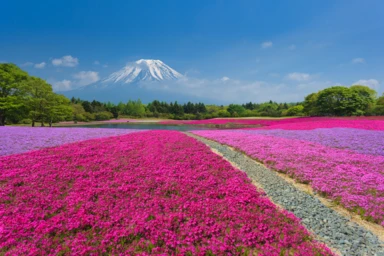 From Japan's Inland Sea To The Alps