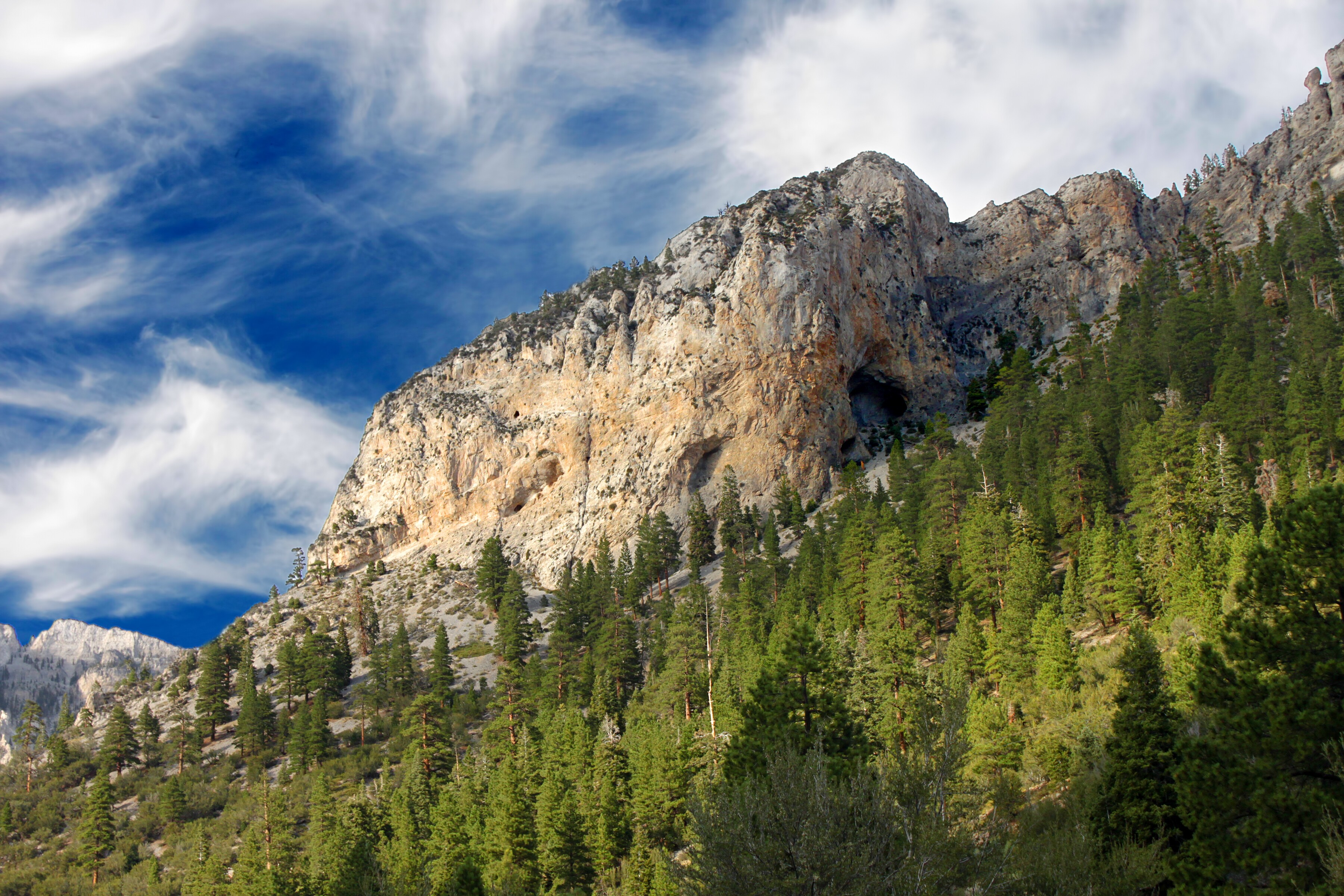 Spring Mountains Scenic Drive Road Trip