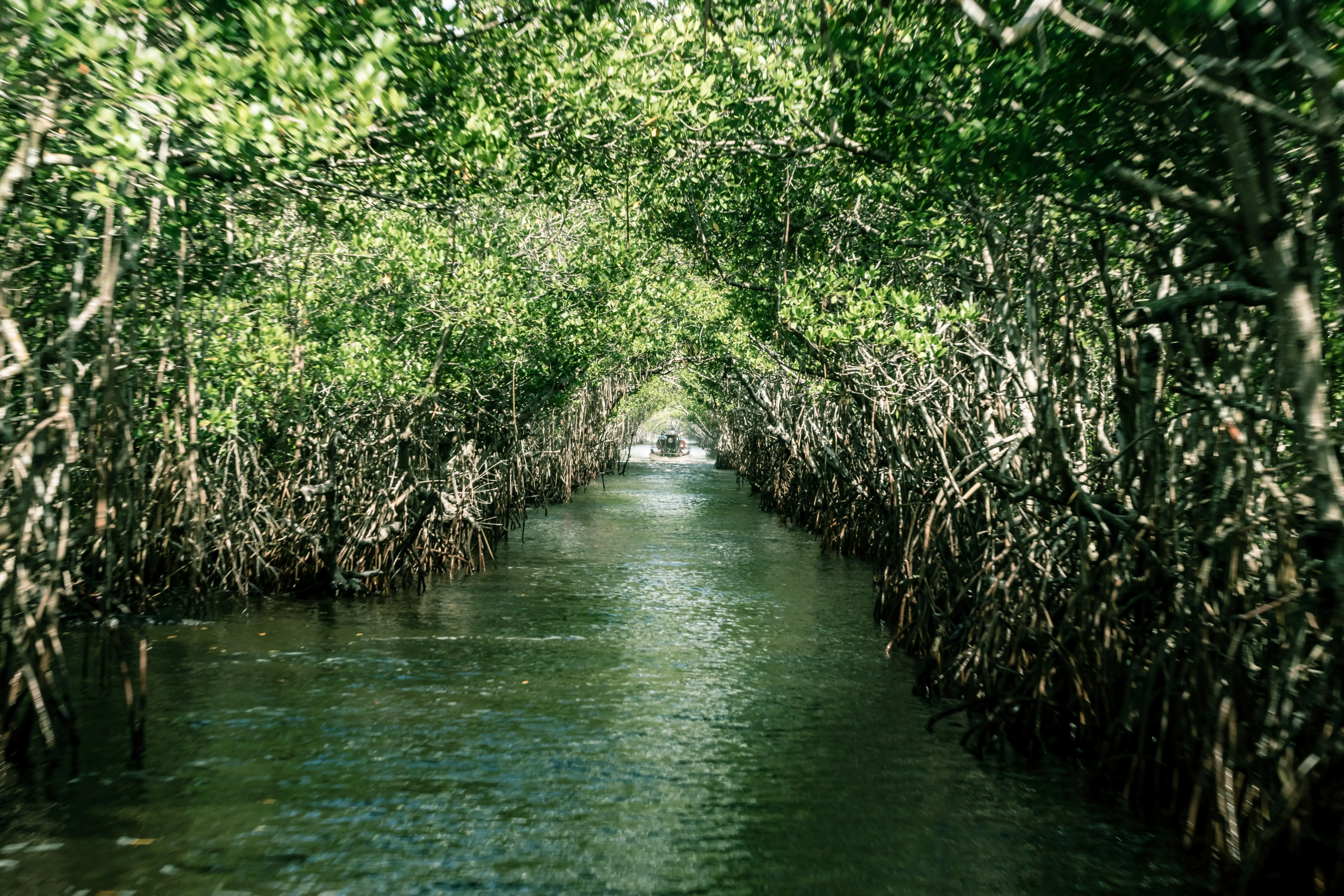 Photo taken in Everglades City, United States.