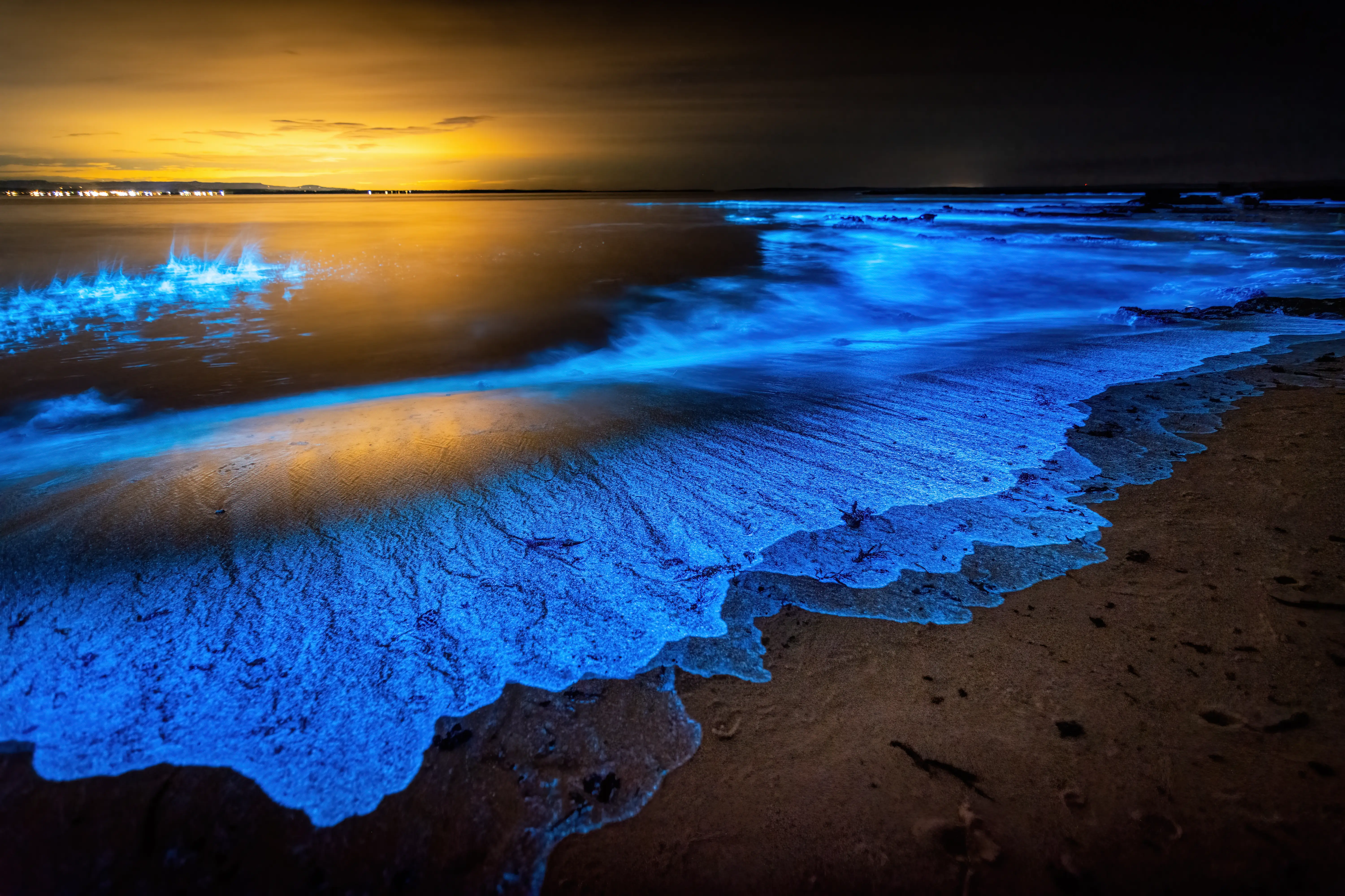 Image of bioluminescent waves hitting the ocean shore, in Jervis Bay, Australia.