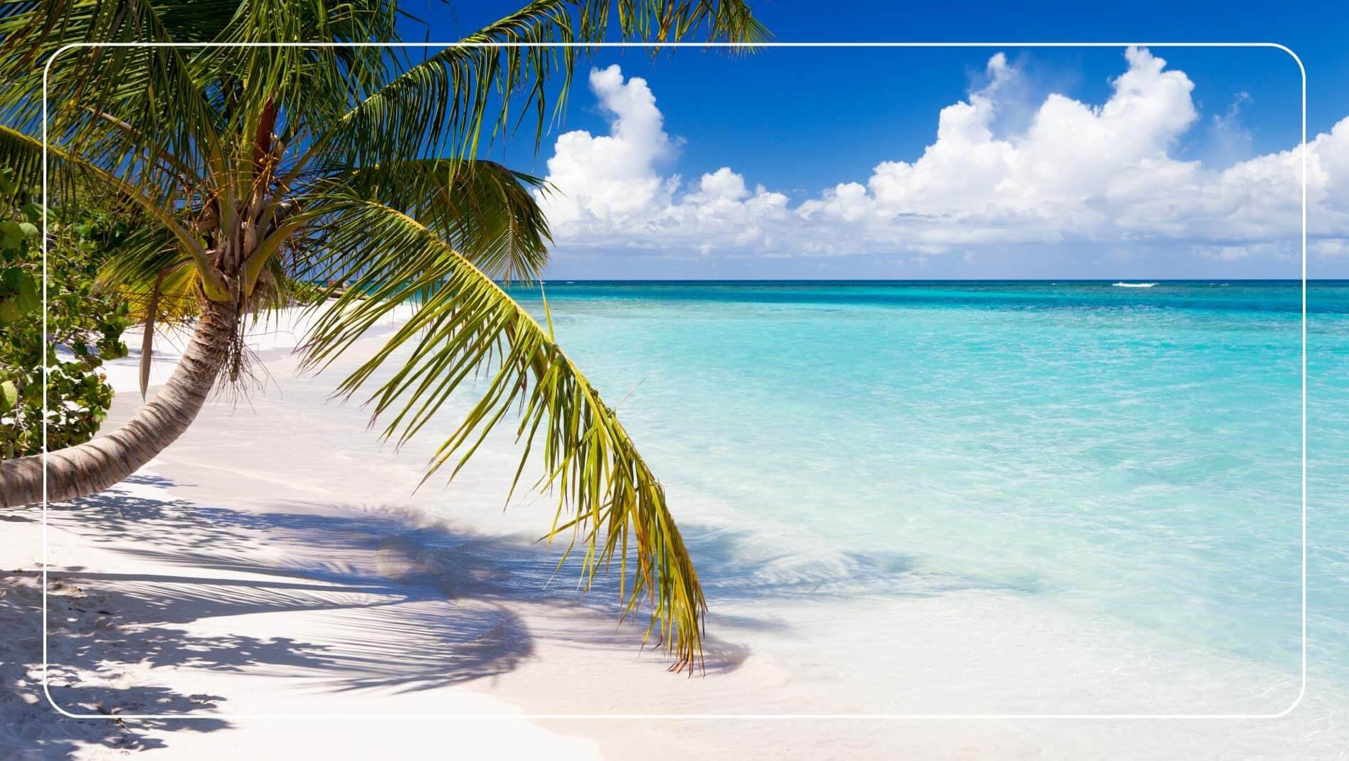 Palm trees and clear waters of Flamenco Beach, Puerto Rico