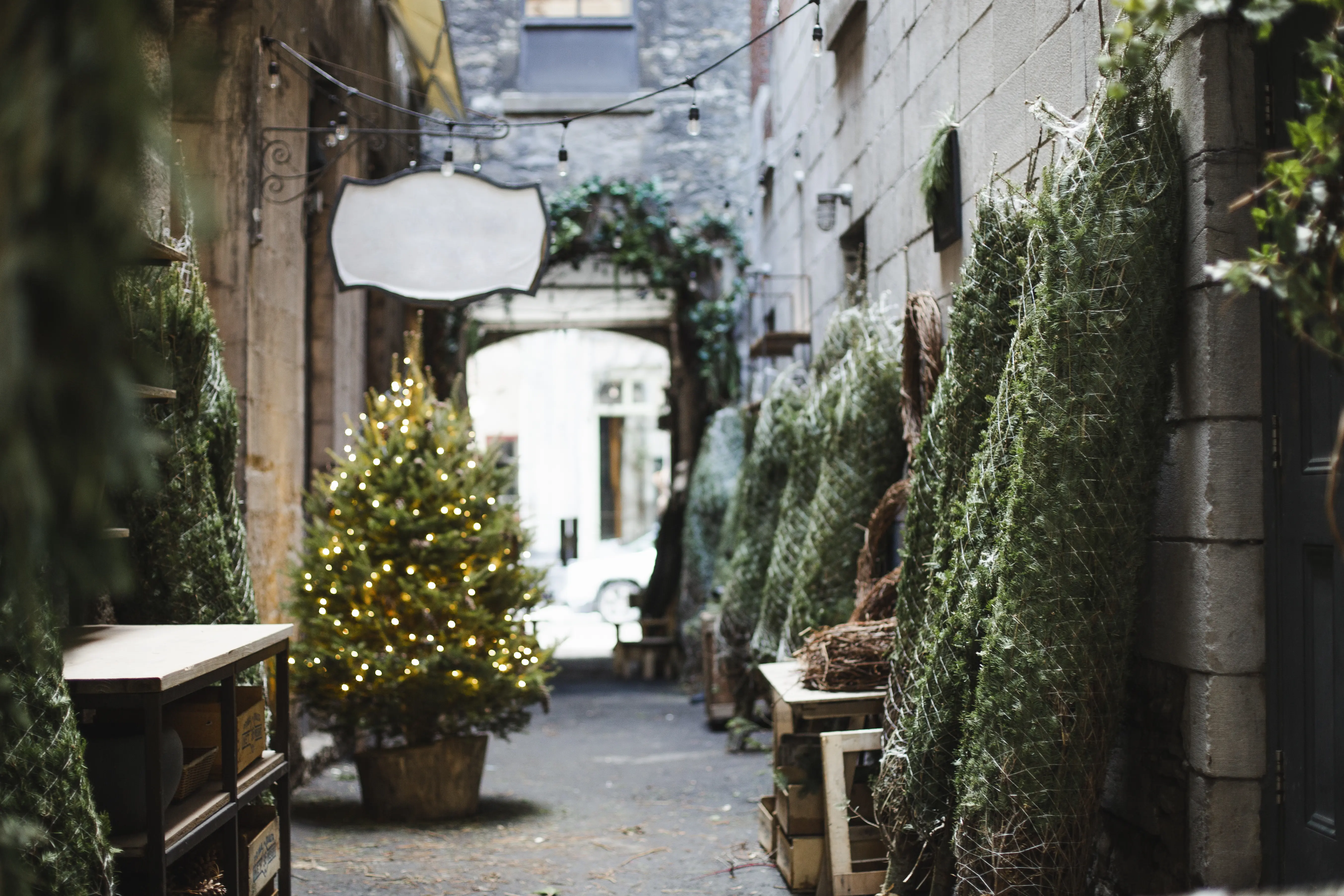 Image of a Christmas street market, with trees tied up and ready to be sold.