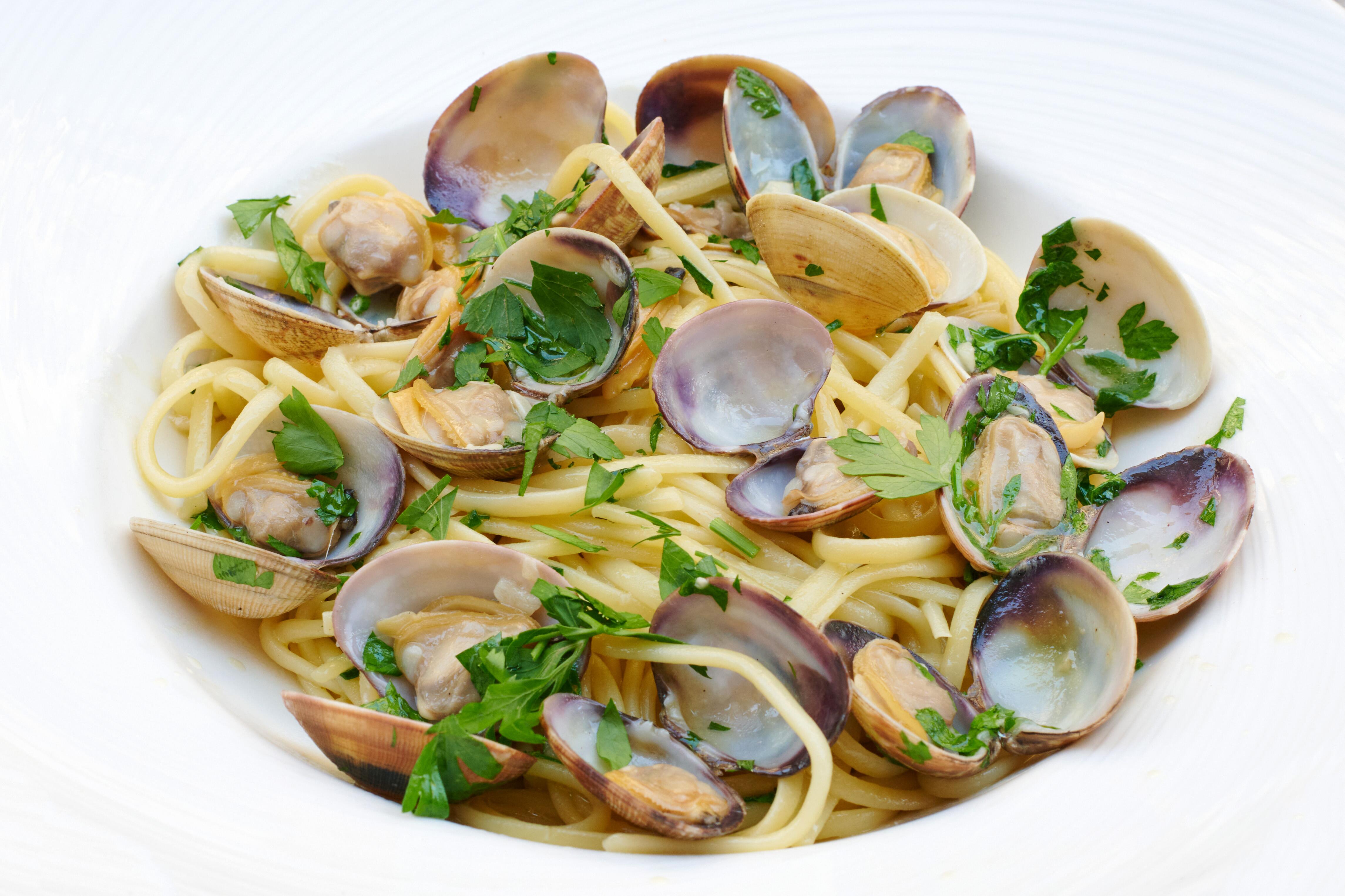 Closeup image of a dish of linguine with clams.