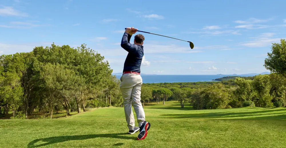 Professional golfer