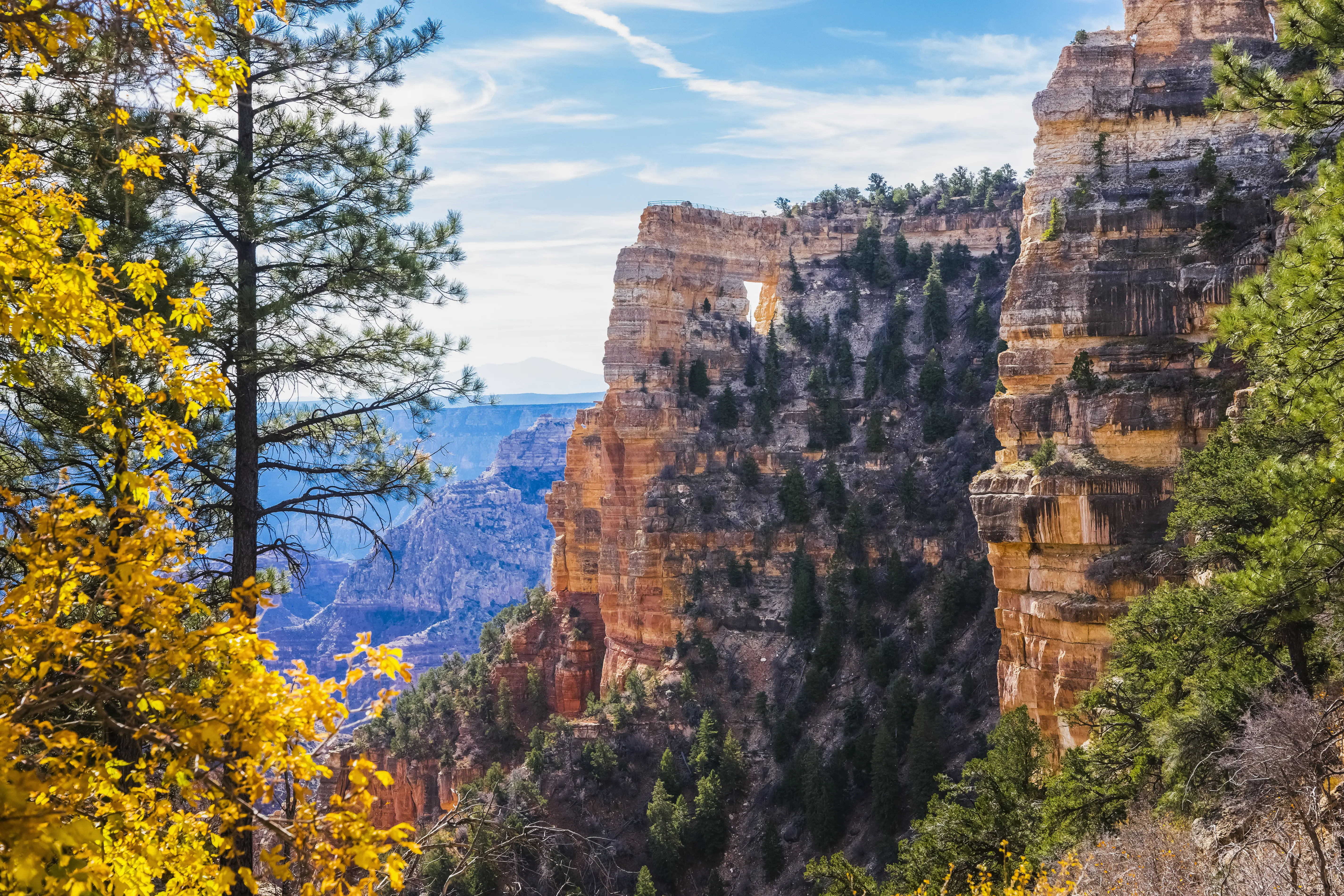 Image of the scenic landscape of the Grand Canyon's North Rim, and its fall foliage.