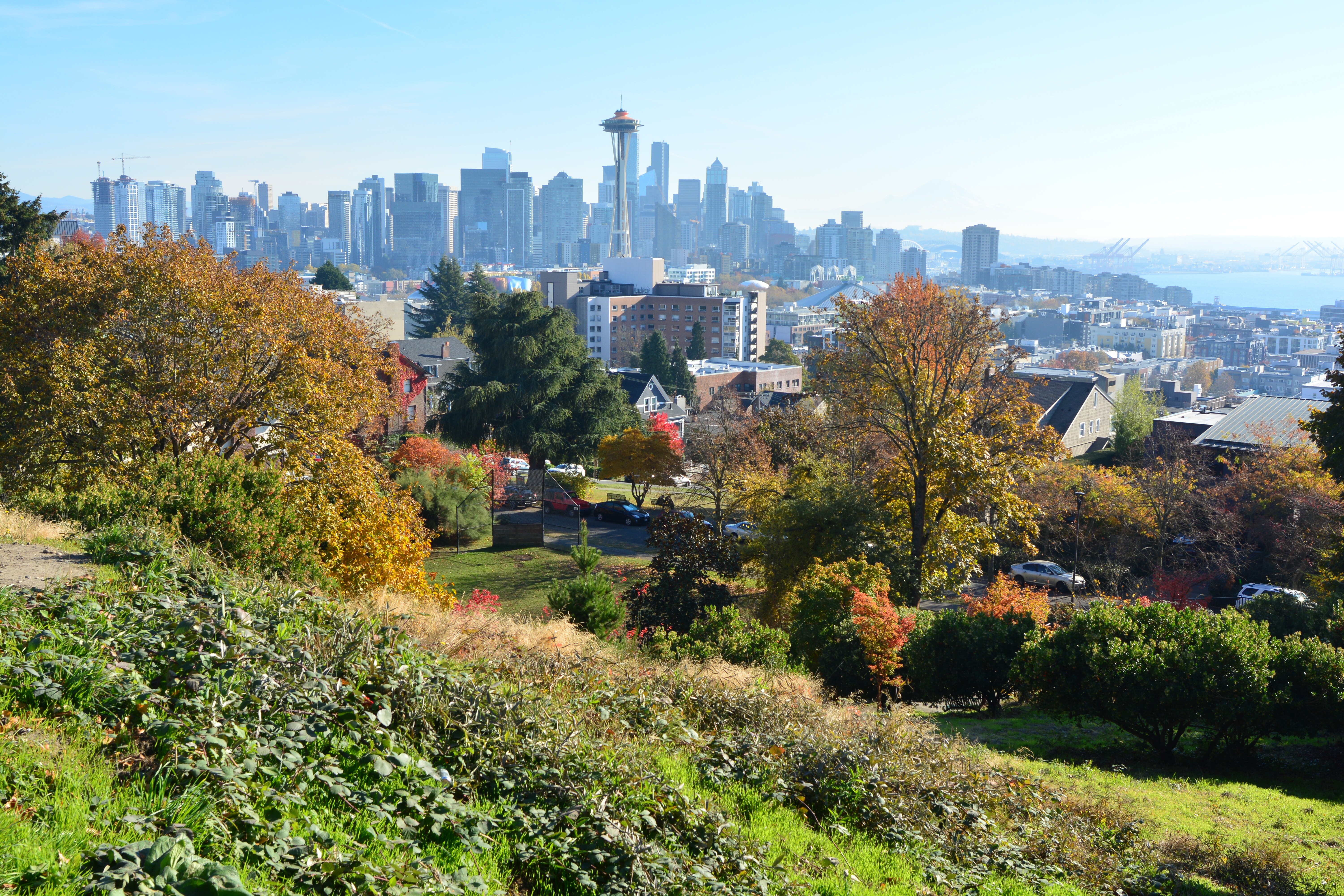 Image of Kerry Park with the Seattle skyline in the background.