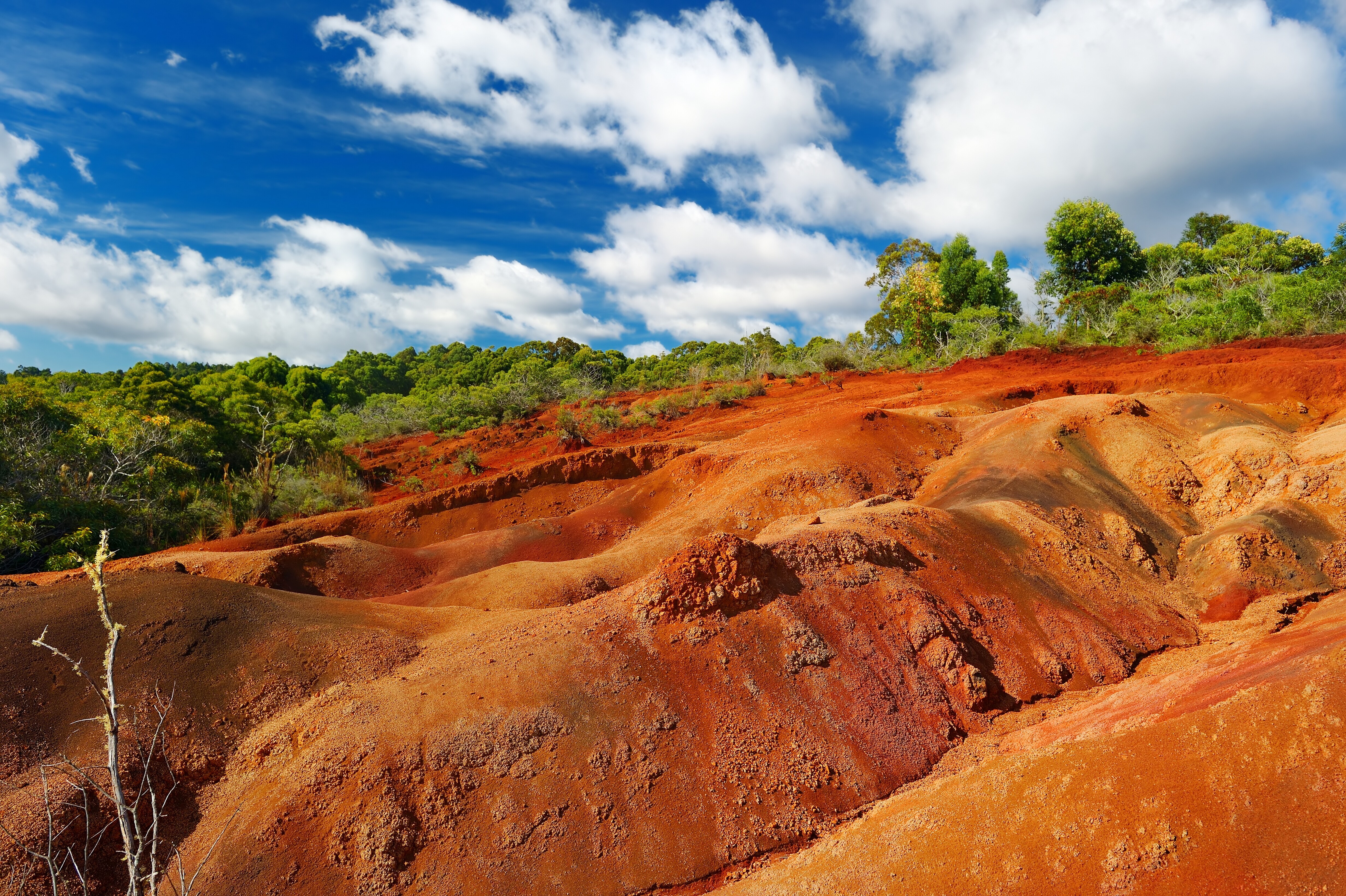 Kokee Scenic Road Road Trip